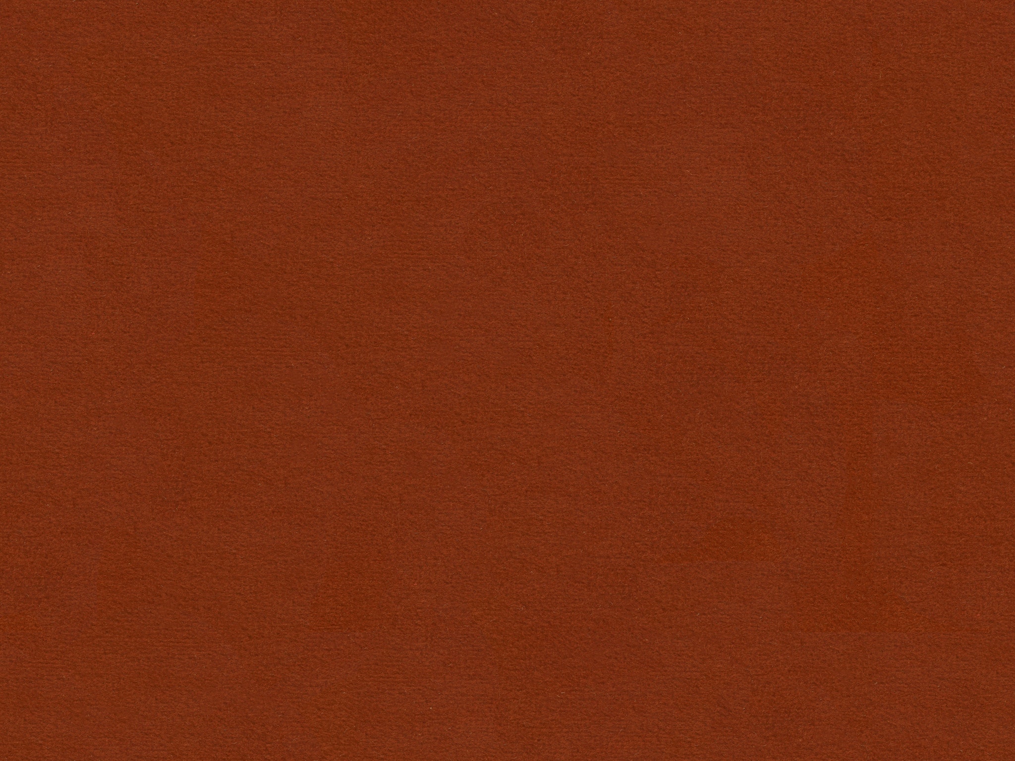 BELA ROUGE
