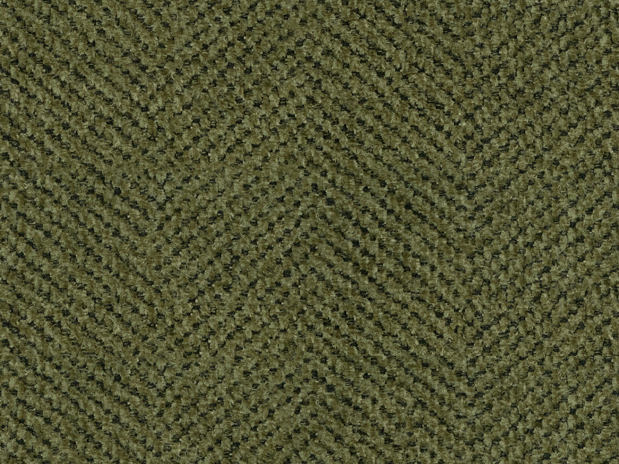 DOUBLE OLIVE NL E 2k