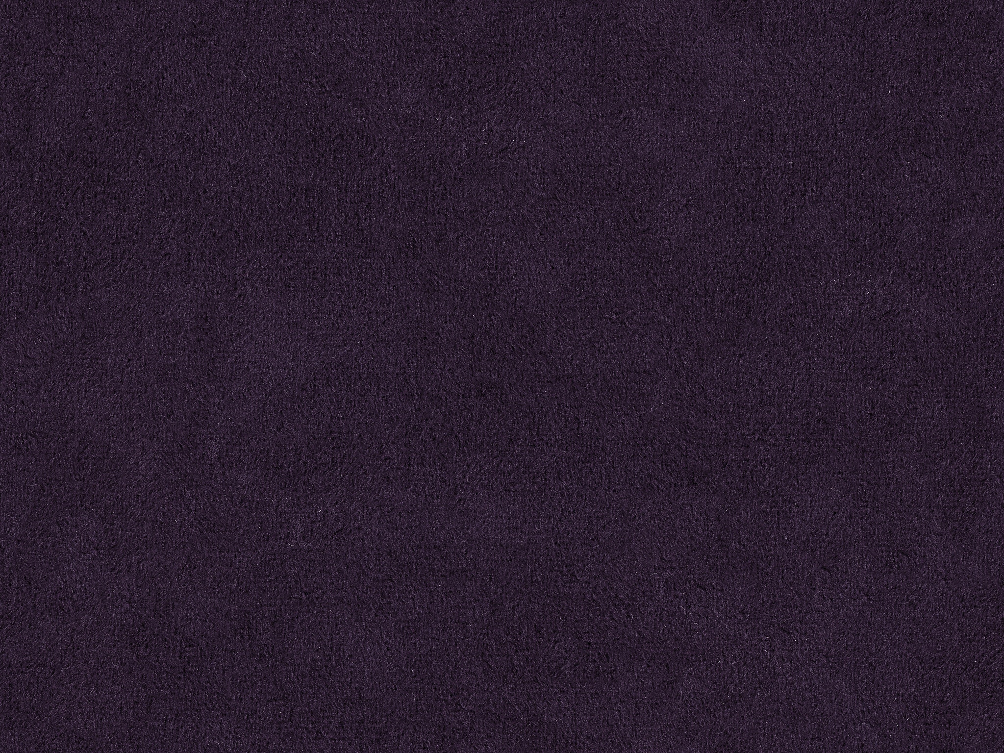 BELLA AUBERGINE