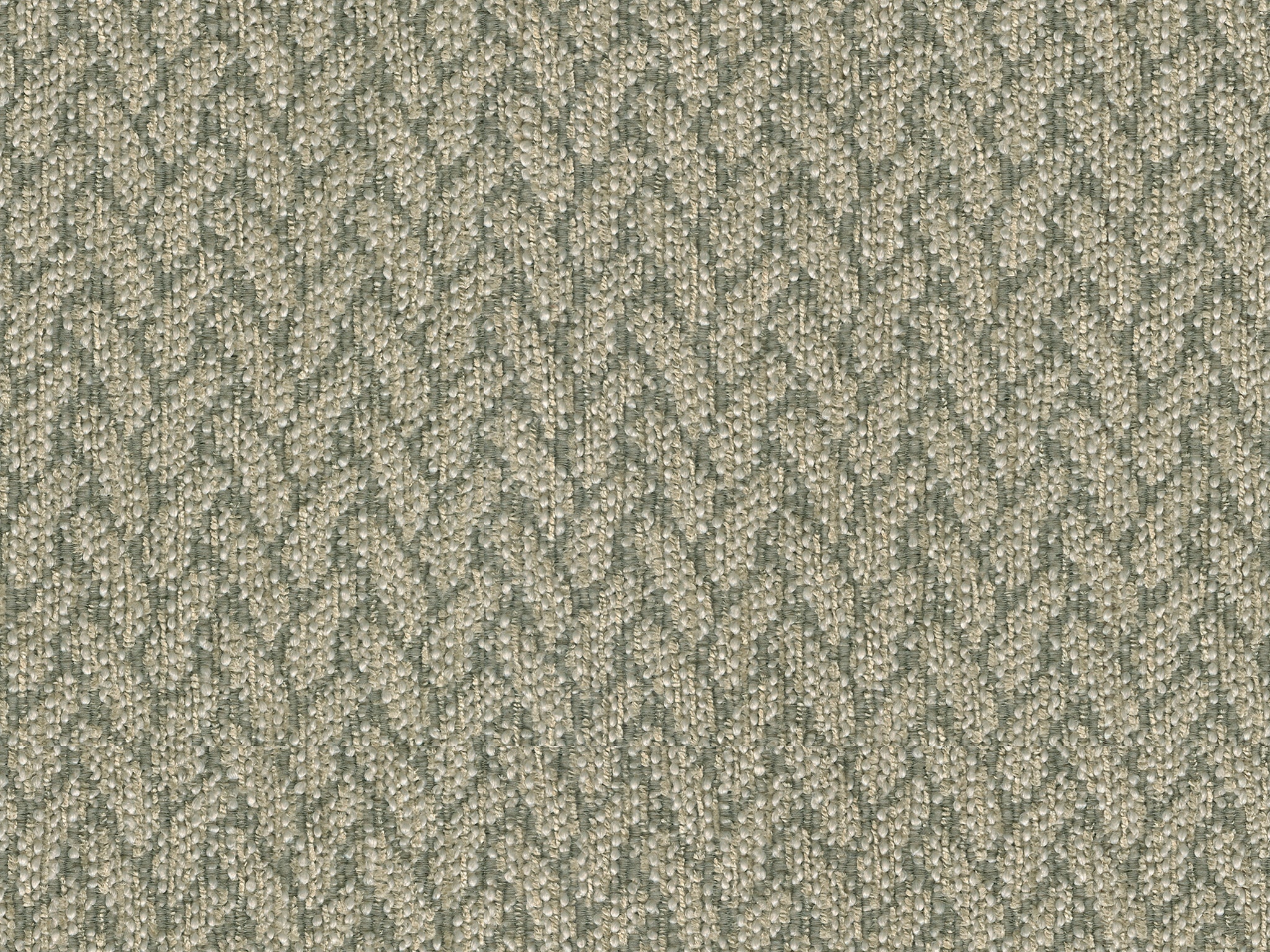 AMOS TAUPE