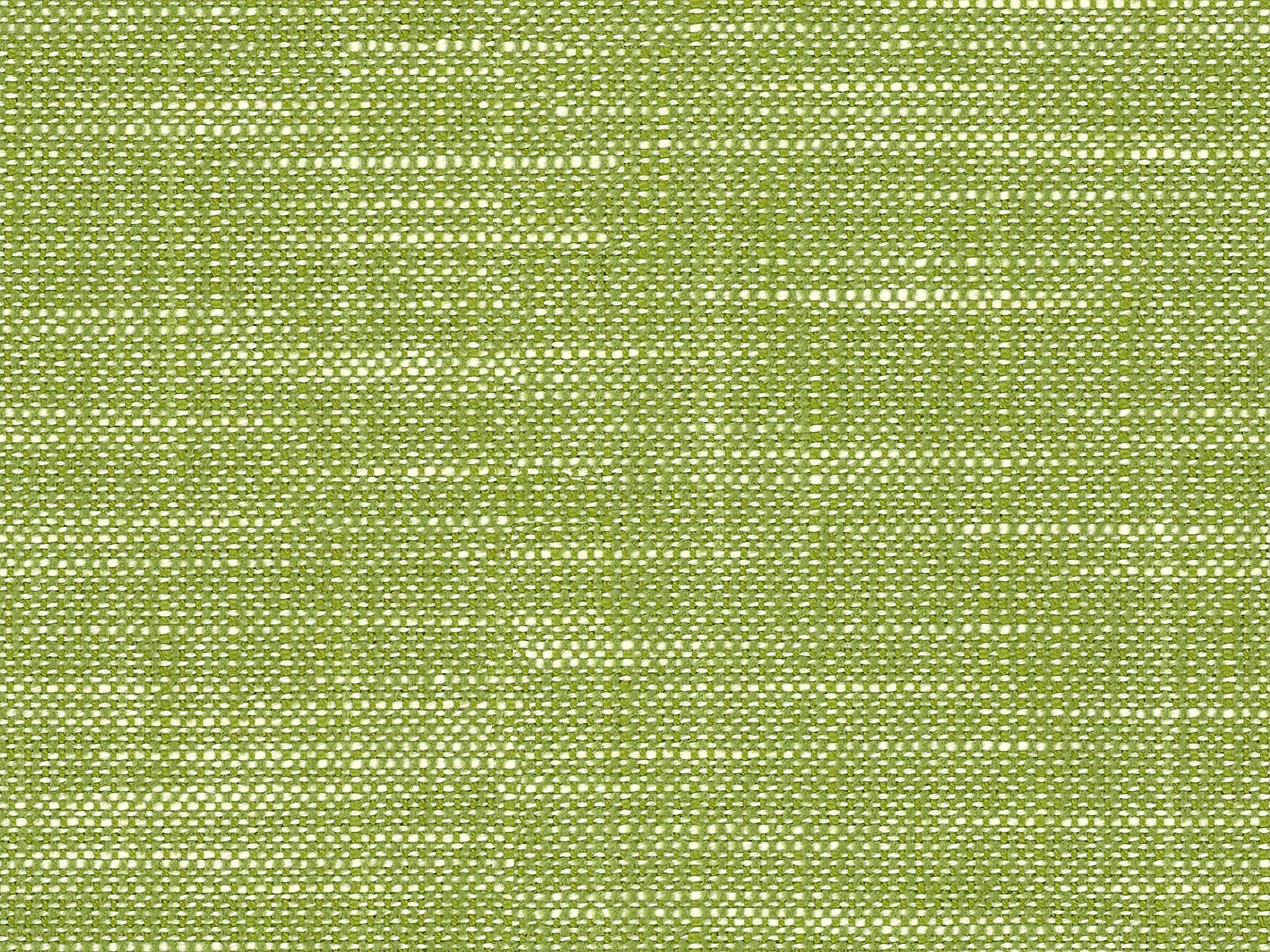 JANE LEAF
