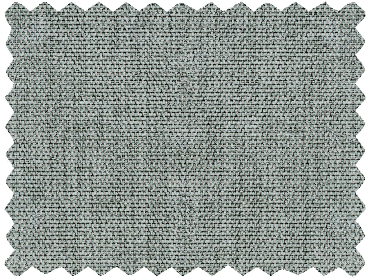 T223