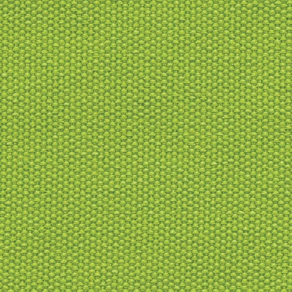 2429