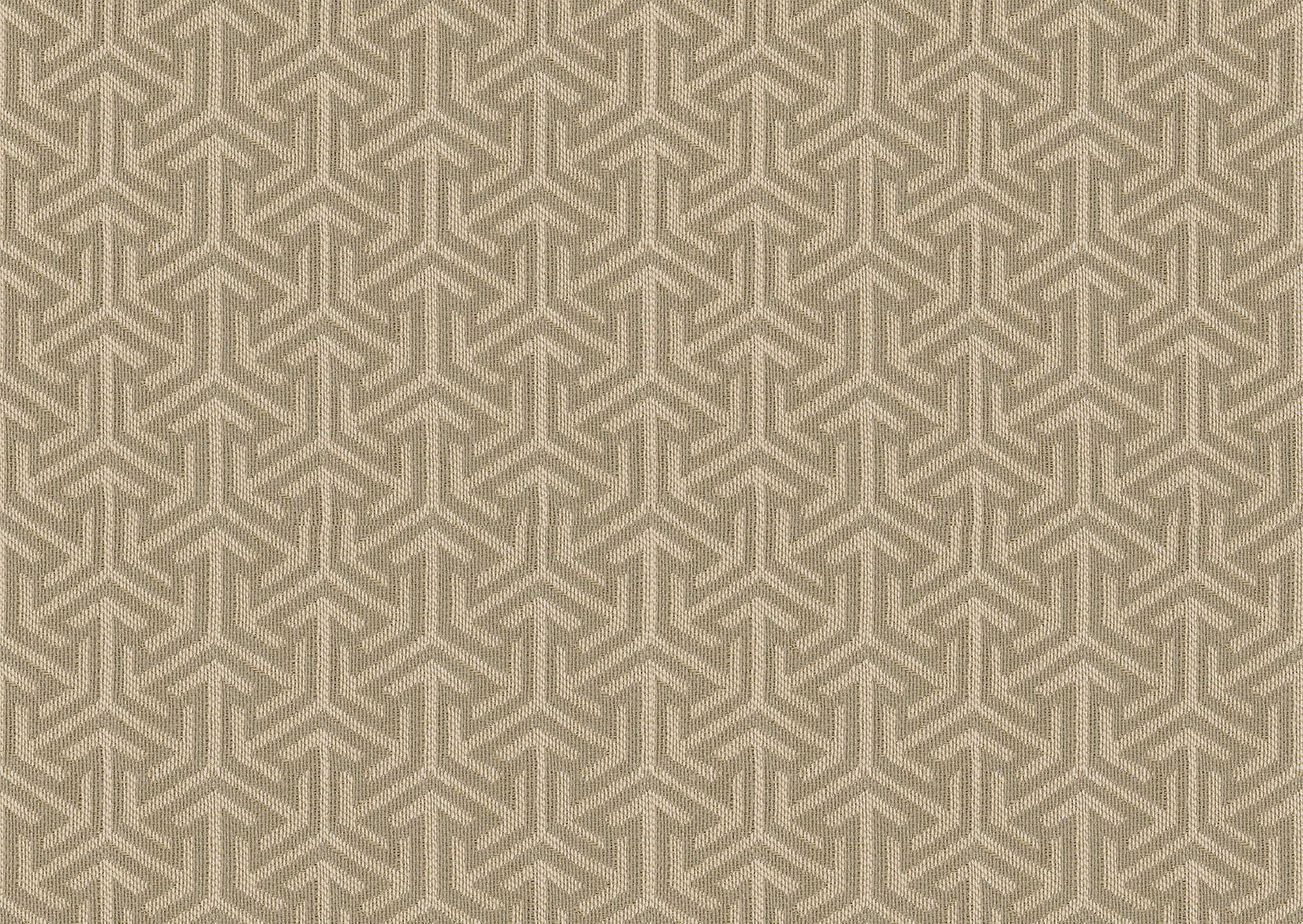 23017