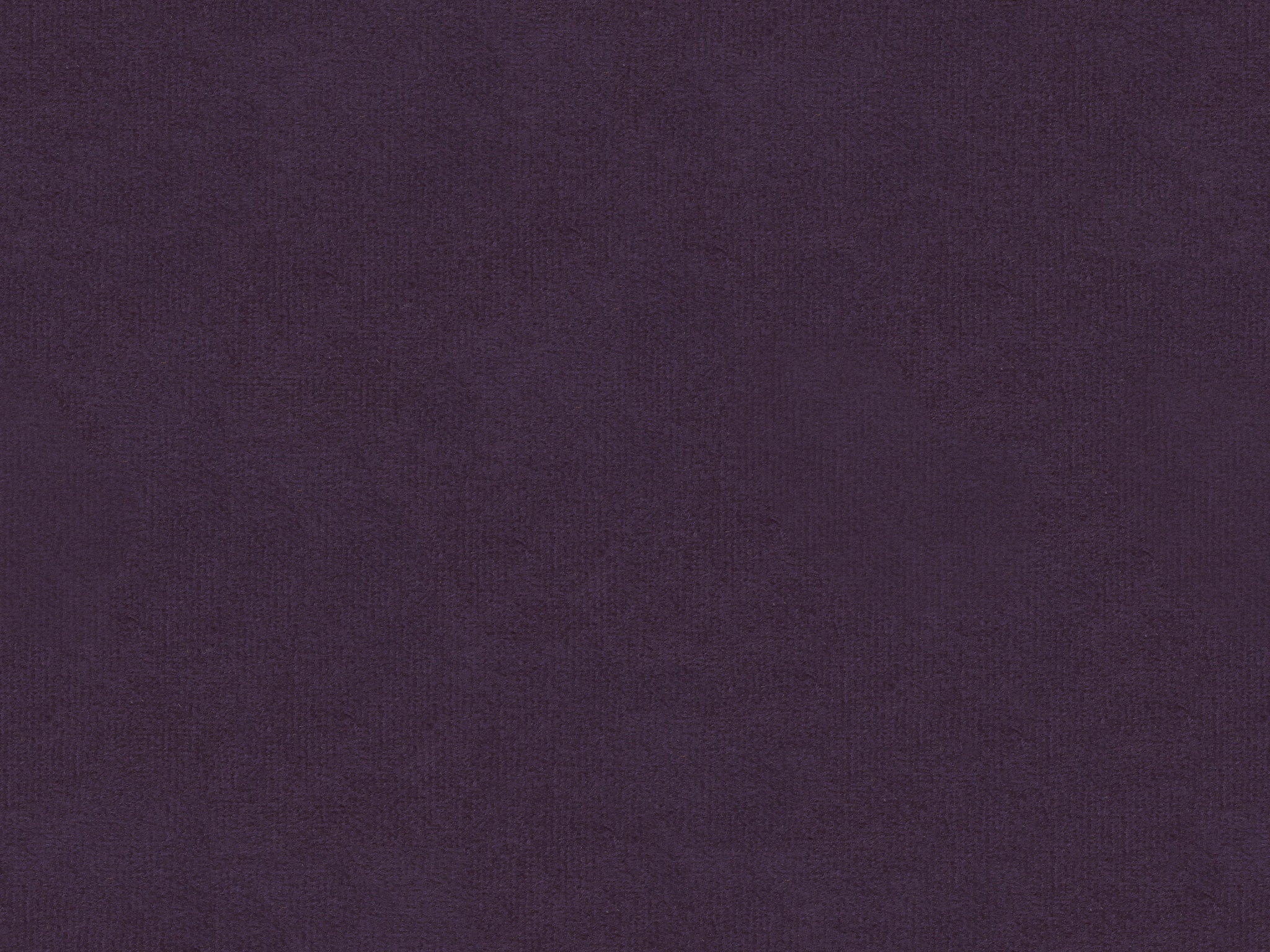 BELA AUBERGINE