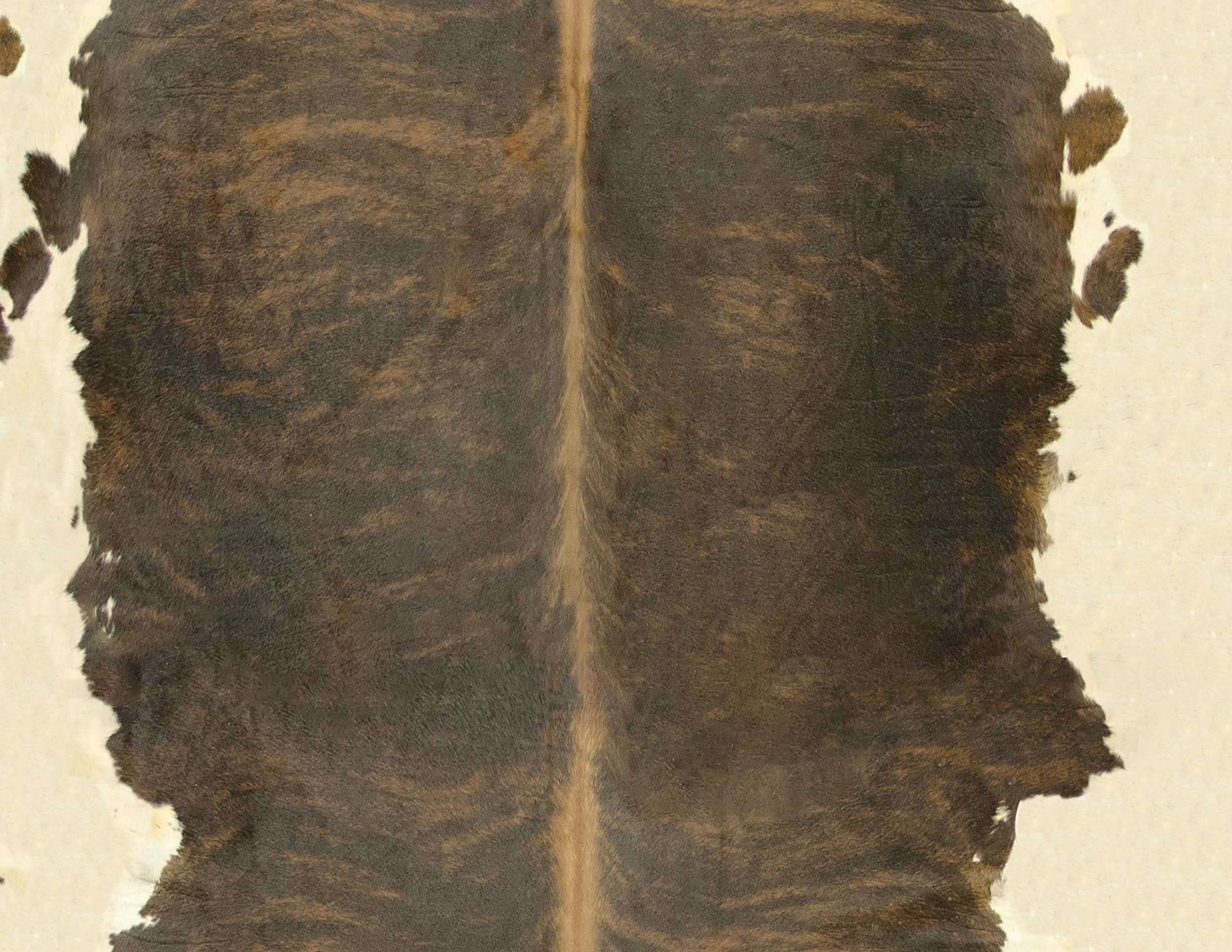 BRINDLE BROWN