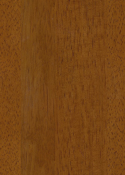 GOLDEN PECAN