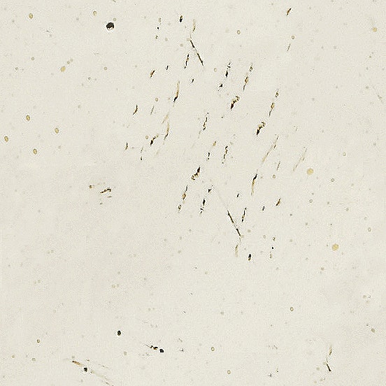 HL-TAUPE