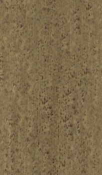 SANDSTORM