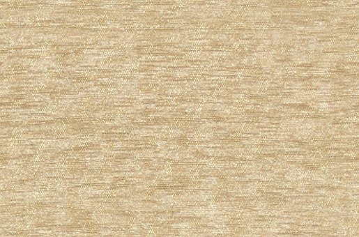 SR13891