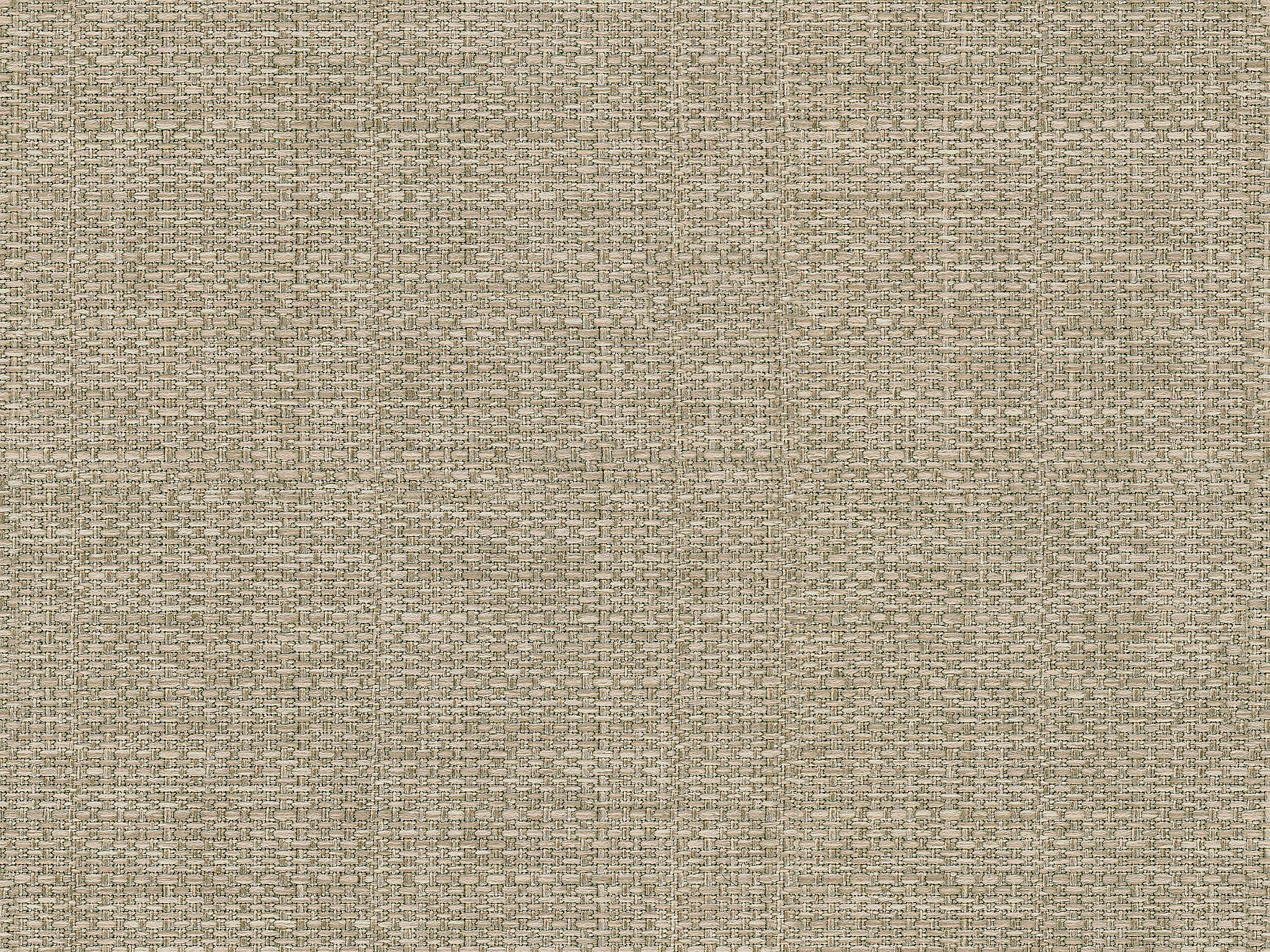 19709