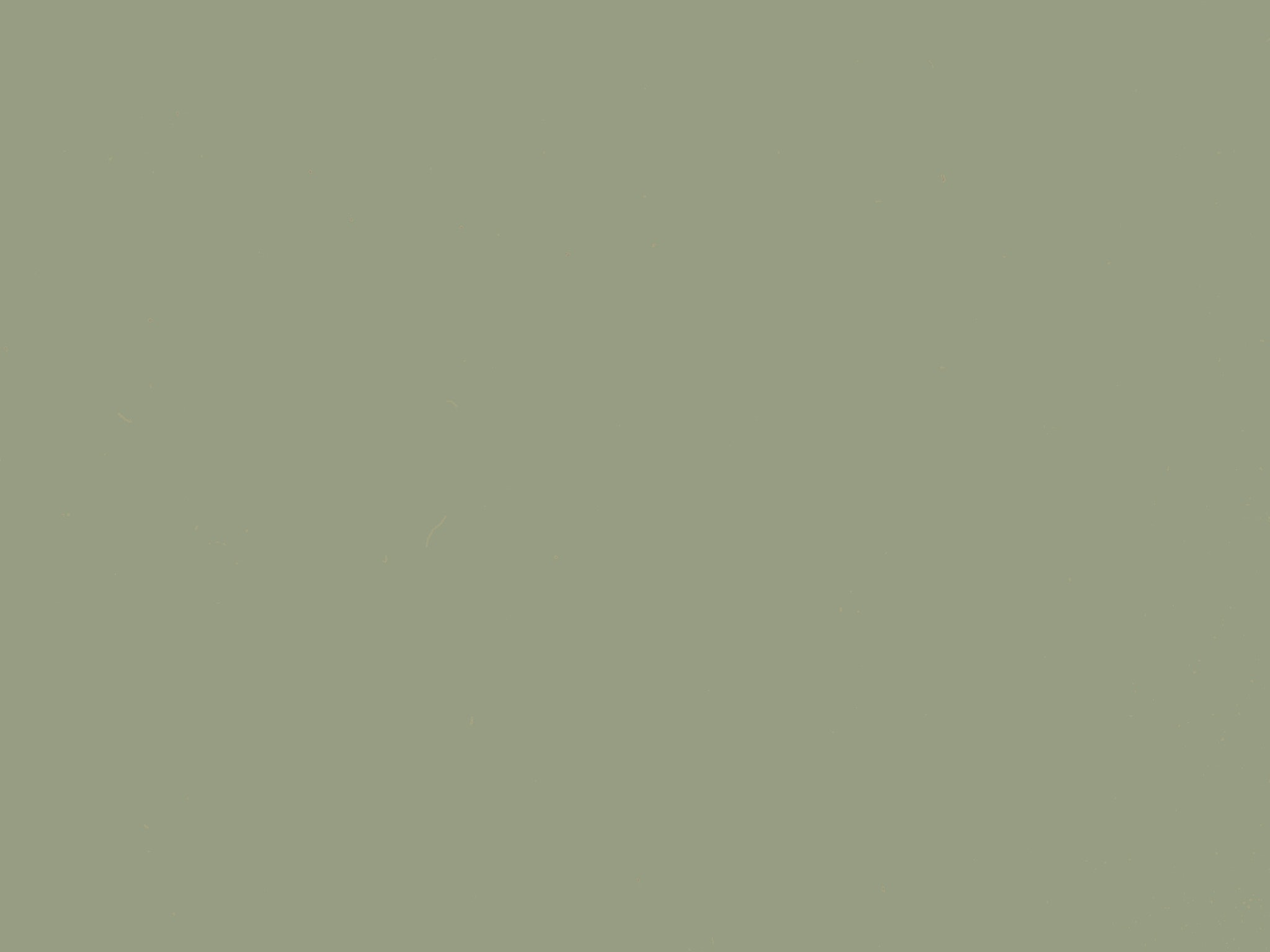 MAPLE BABY BLUE