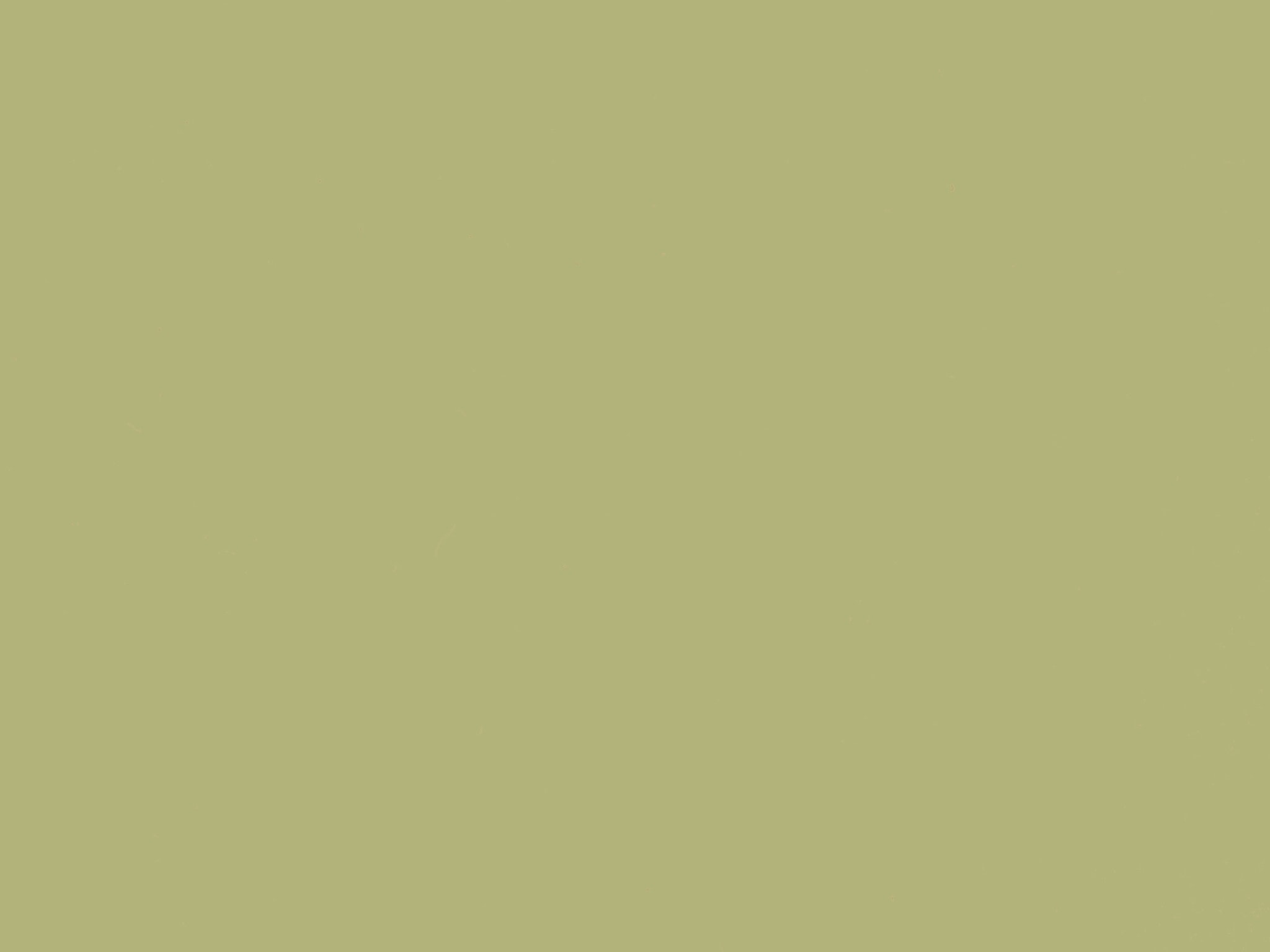 MAPLE MINT