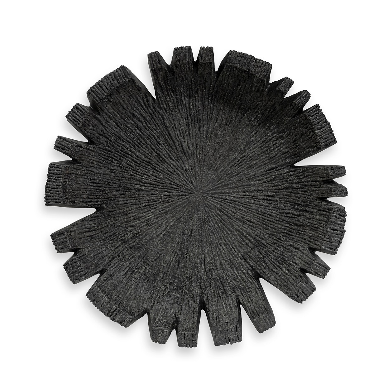 Palecek REEF OUTDOOR WALL DECOR LARGE, CHARCOAL 1070-31