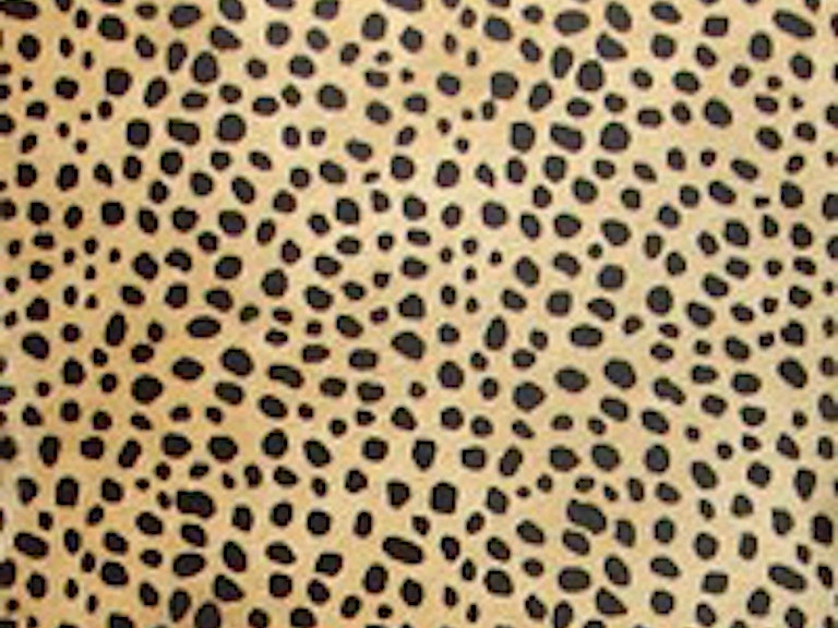 Palecek Swatch for 25 Fabric 576325