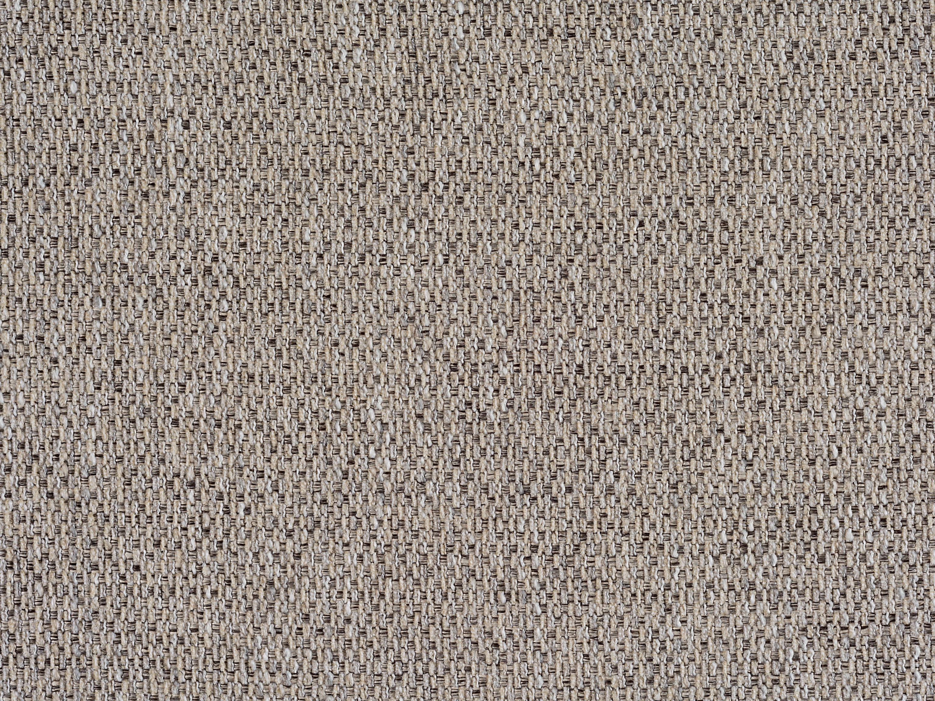 Sam Moore 400568-81 Fabric Swatch Card SM-400568-81-SC