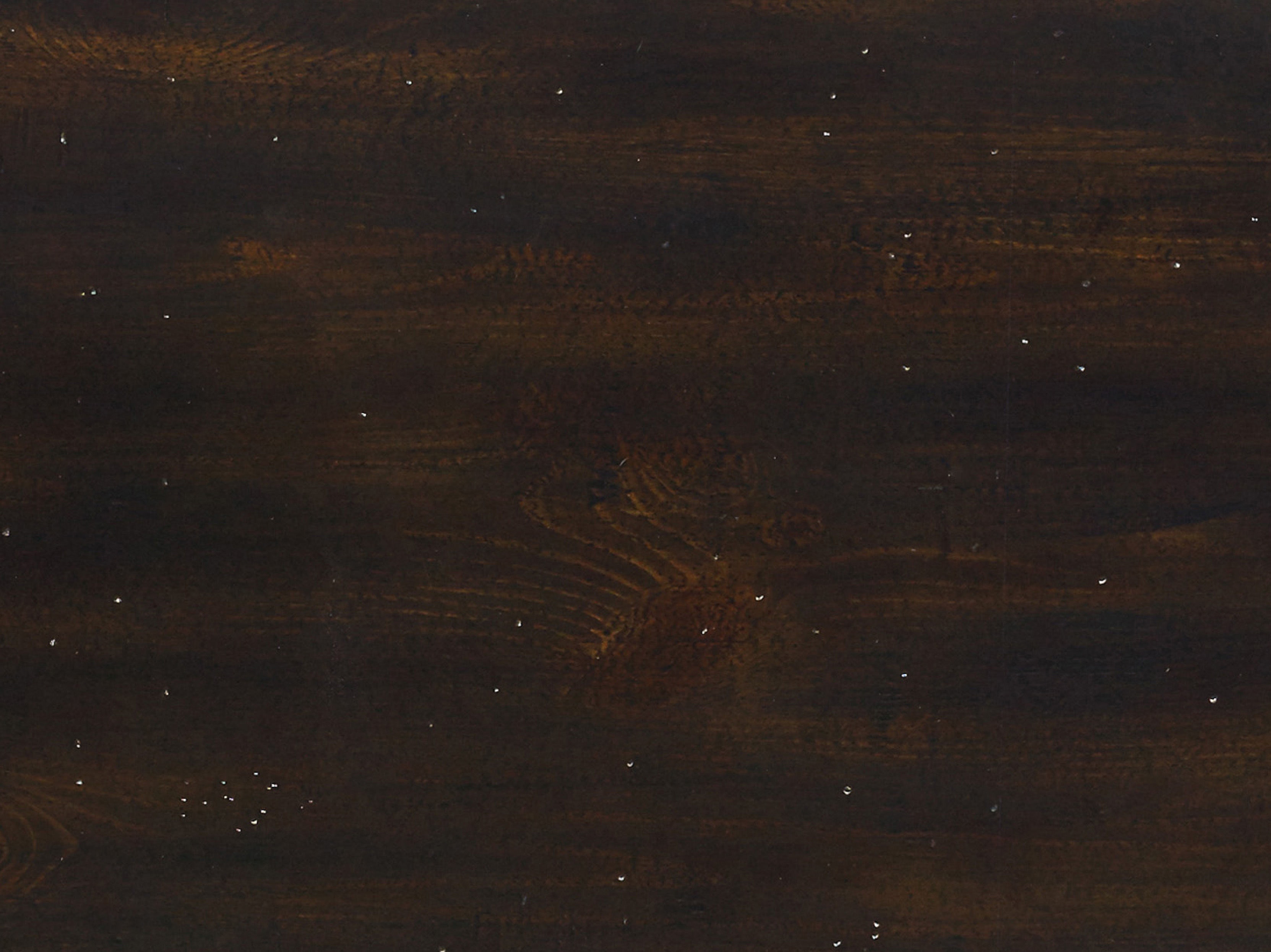 fghjfgjh 5374 Treviso Wood Sample HF-5374-WS