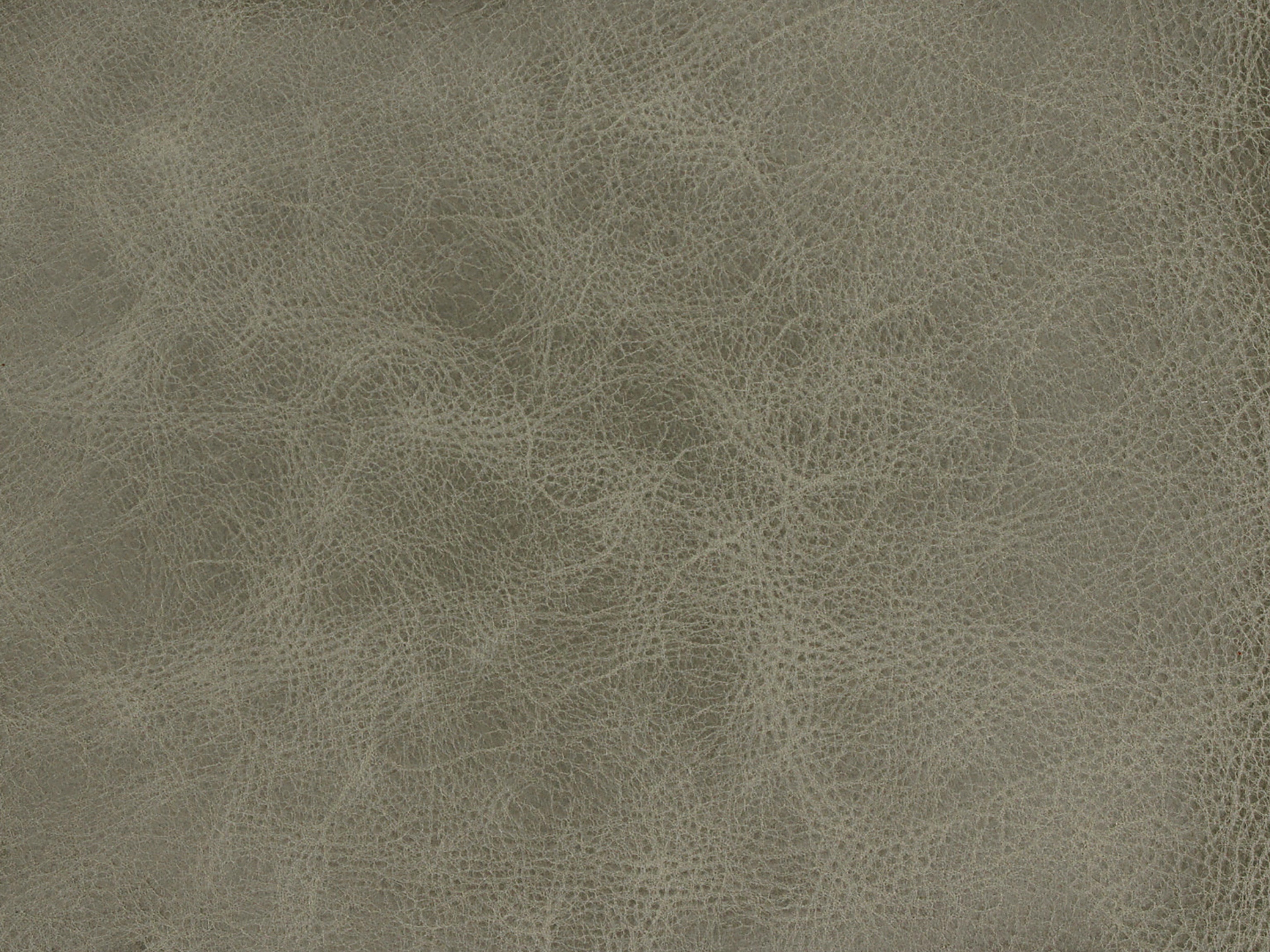 fghjfgjh Bellaire Tranquil Sage Swatch Card HU-BELLAIRETRANQS-SC