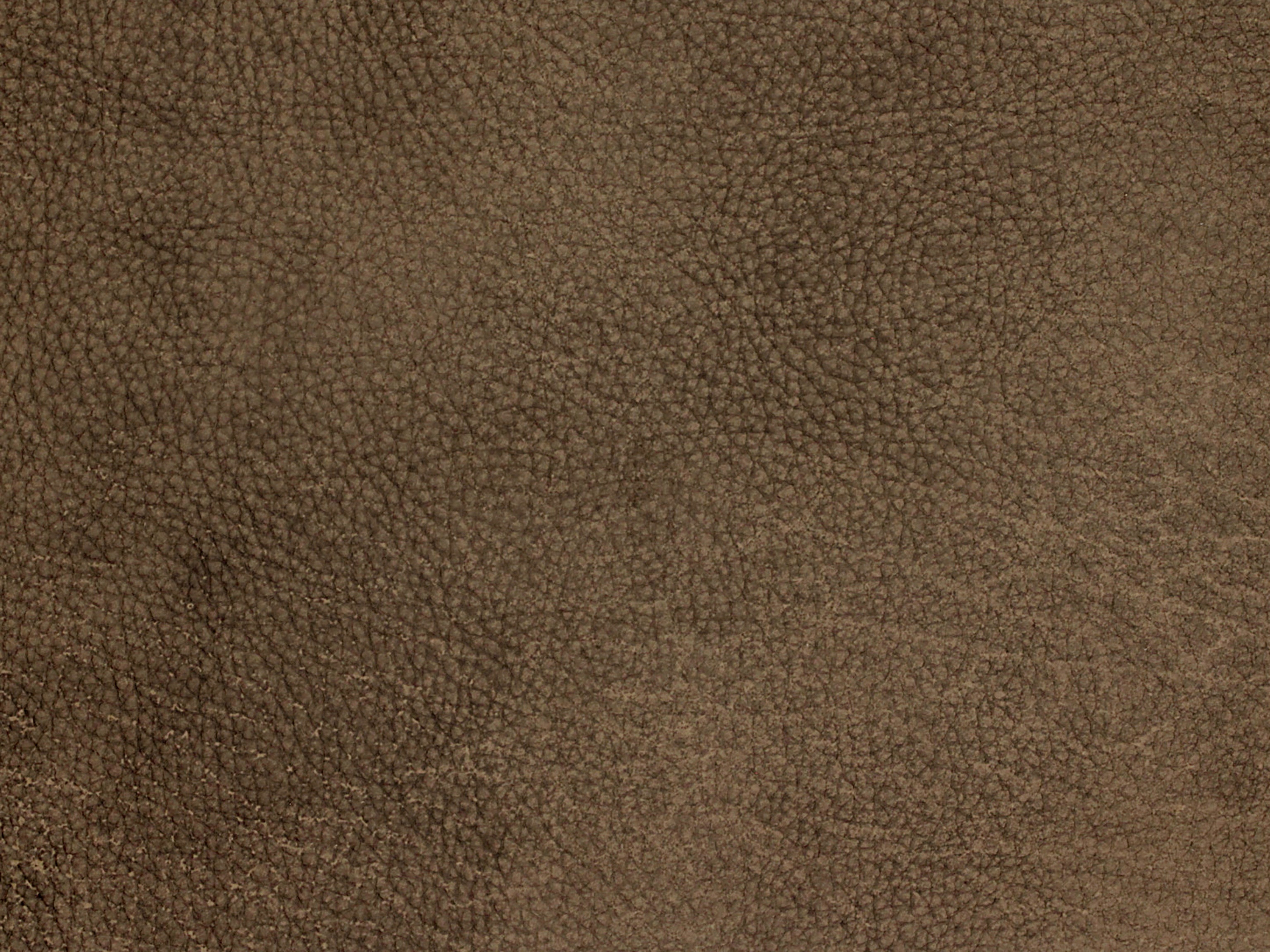 fghjfgjh Big Top Dark Taupe Teardrop HU-BIGTOPDKTAUPE-TD