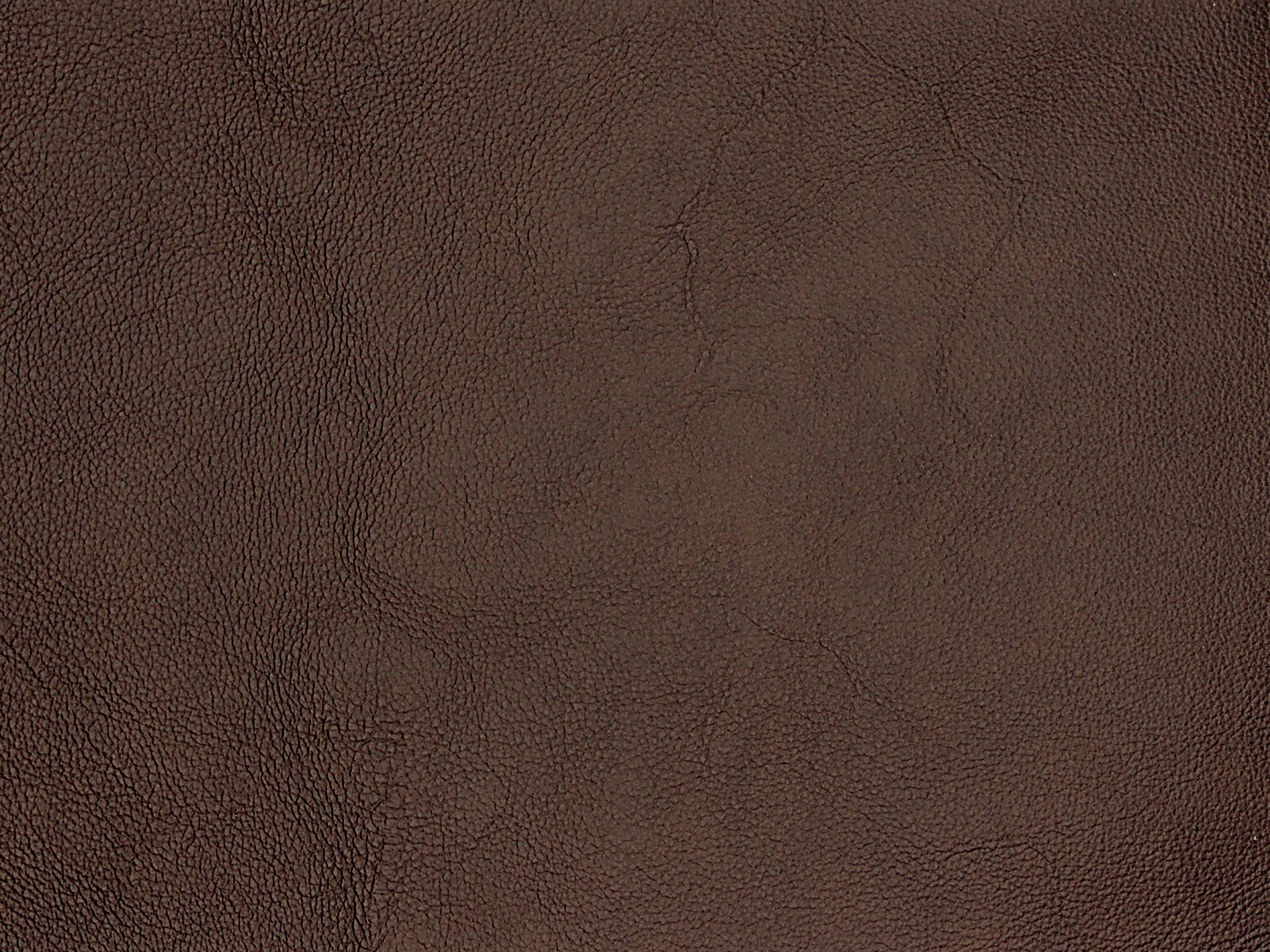 fghjfgjh Caruso Walnut Swatch Card HU-CARUSO-WALNUT-SC