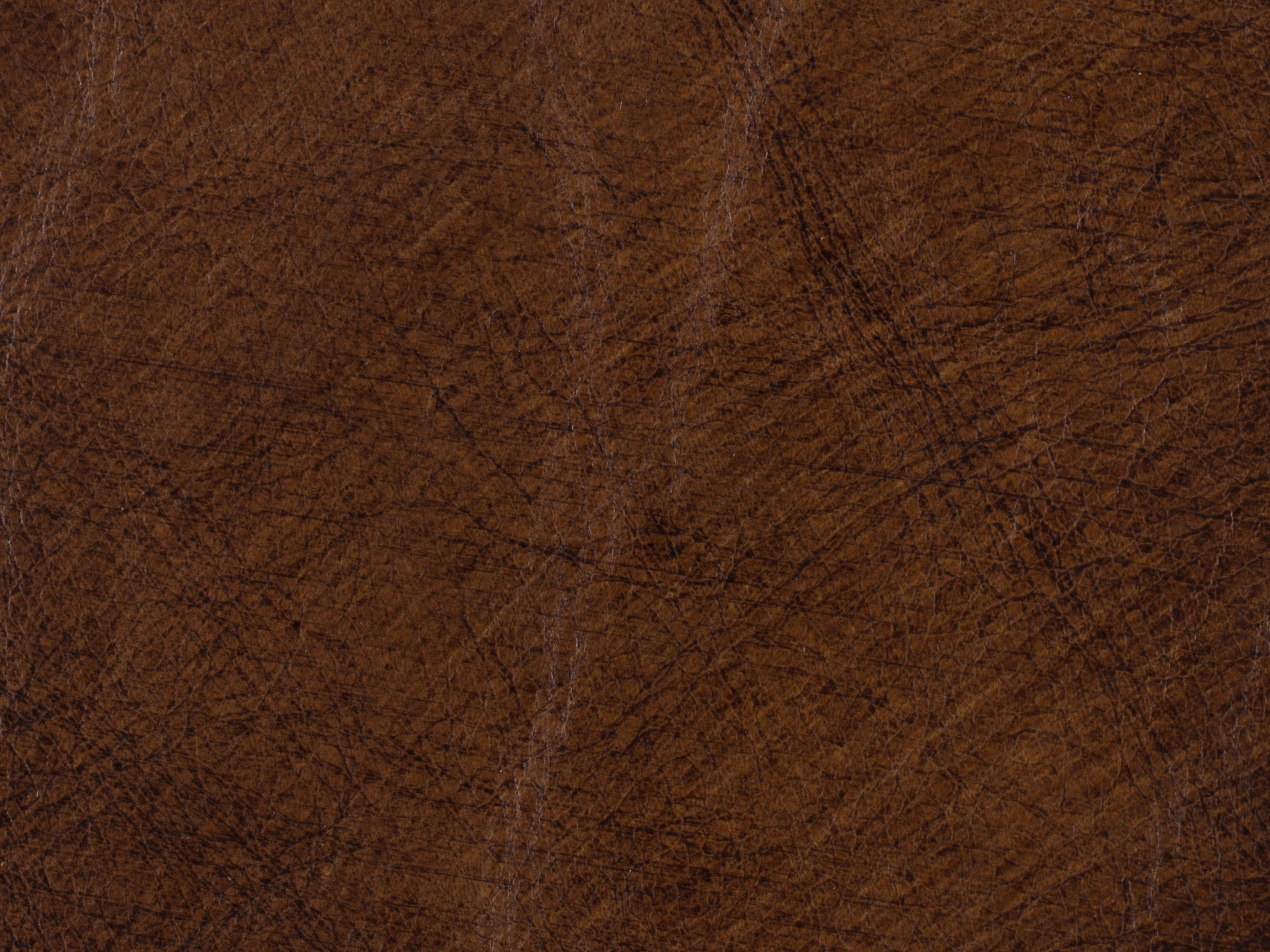 fghjfgjh RC274-086 Inscription Art Leather Swatch HU-INSCRIPTION-AR-SC