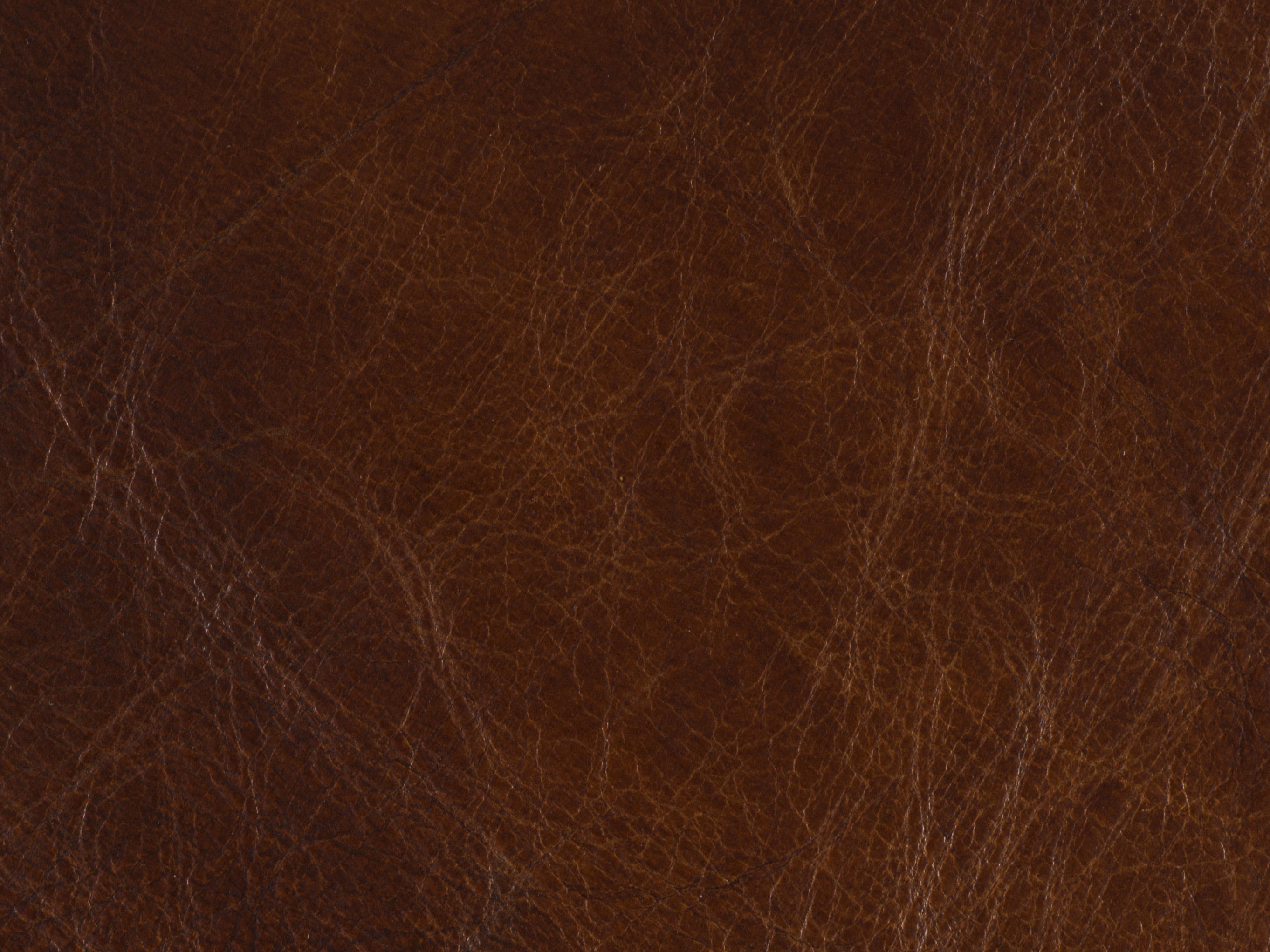 fghjfgjh EC458-086 Isadora Nut Leather 3x3 Swatch HU-ISADORA-NUT-SC