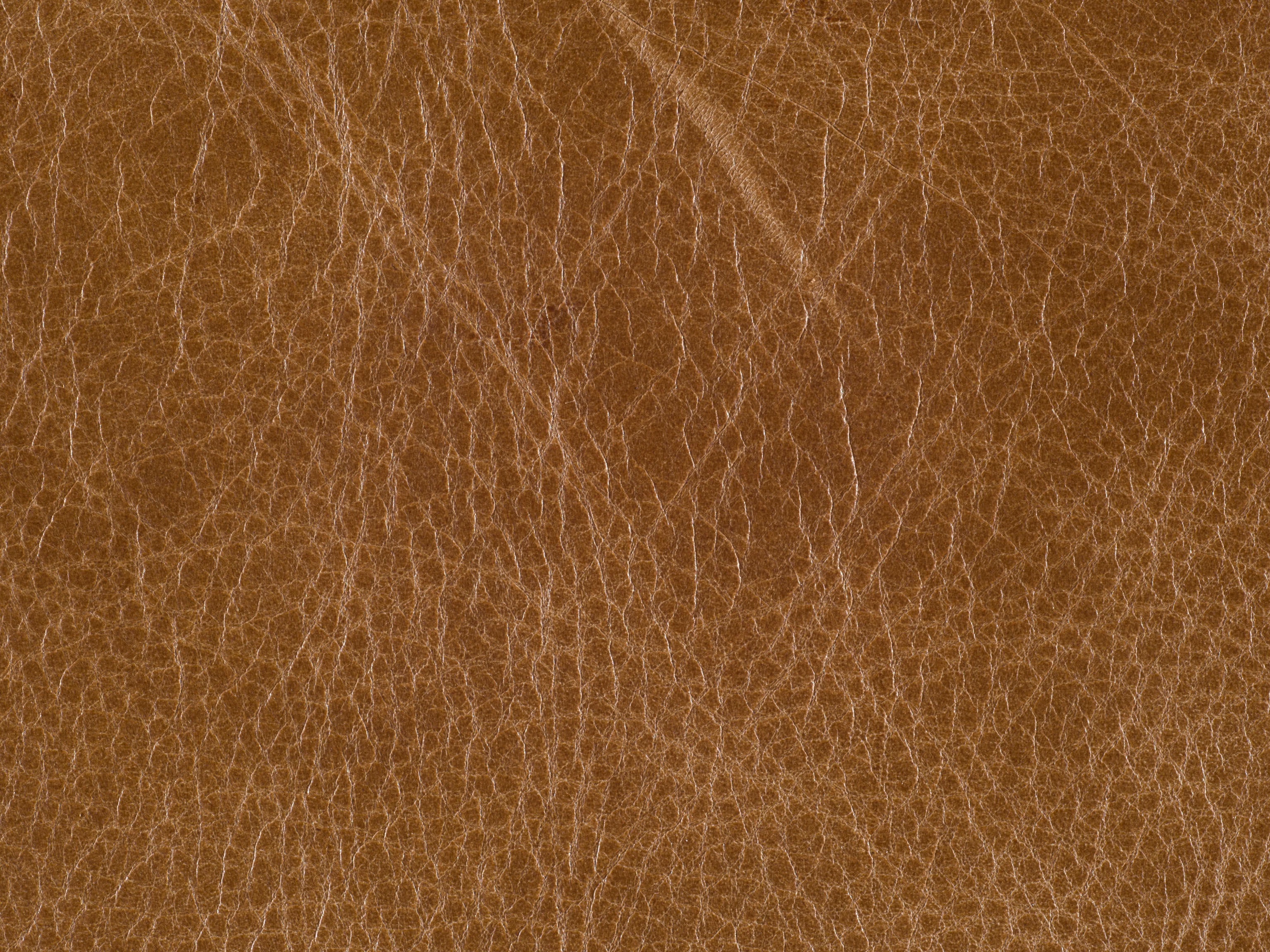 fghjfgjh Venerado Latte Swatch Card HU-Venerando-Latt-SC