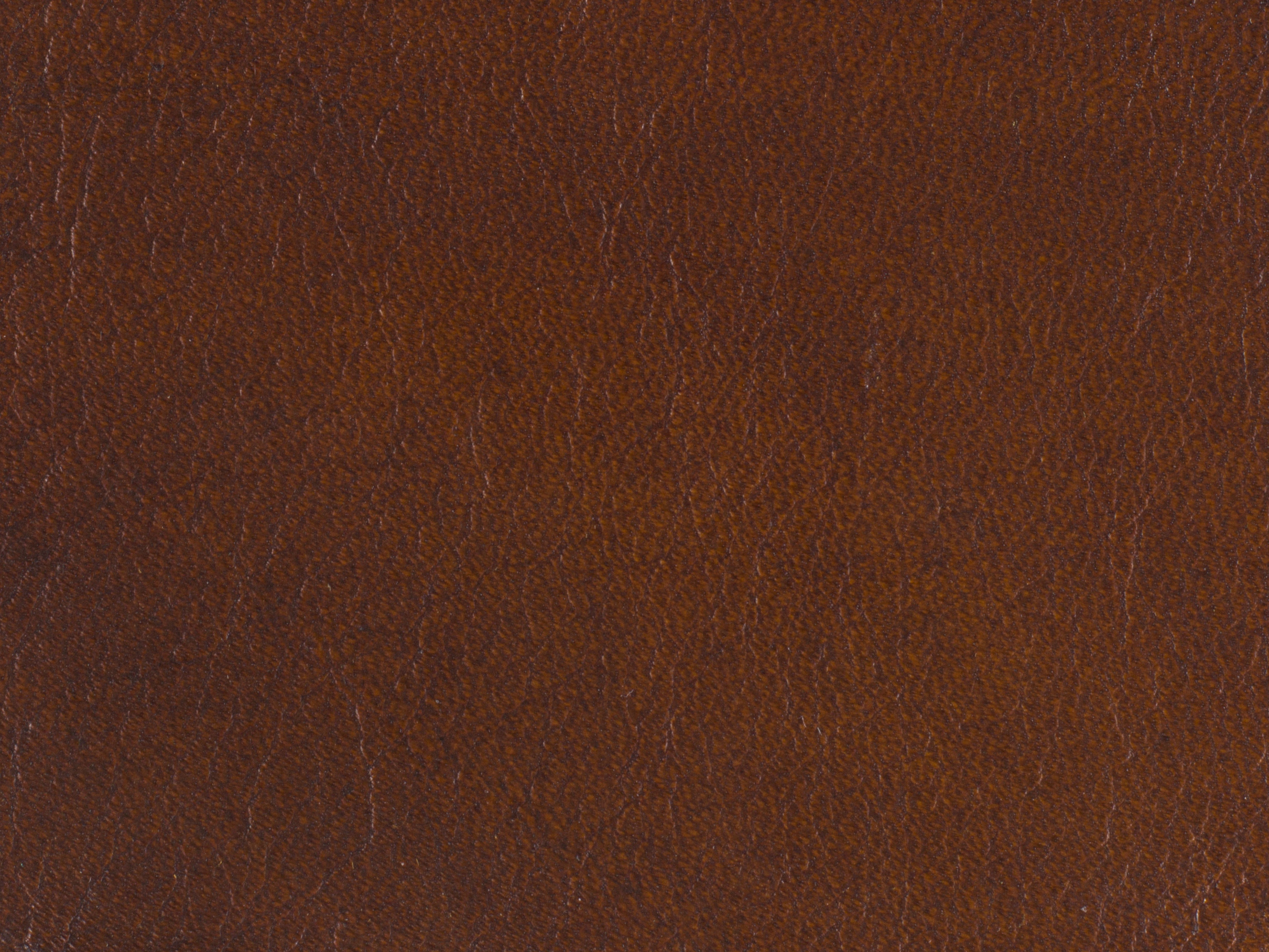 fghjfgjh Valencia Arroz Leather Swatch Card HU-Valencia-Arroz-SC