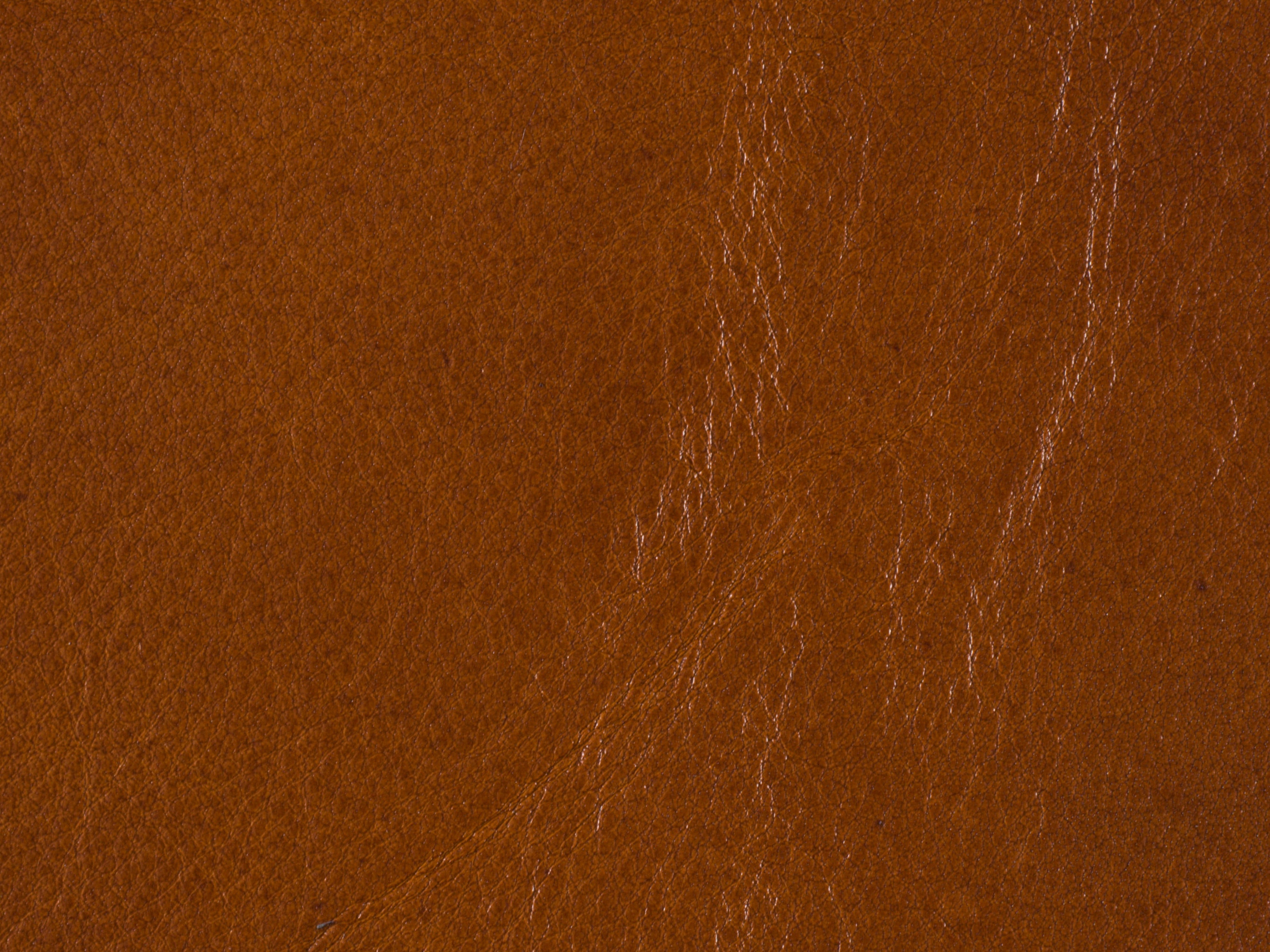 fghjfgjh Valencia Toro Leather Swatch Card HU-Valencia-Toro-SC
