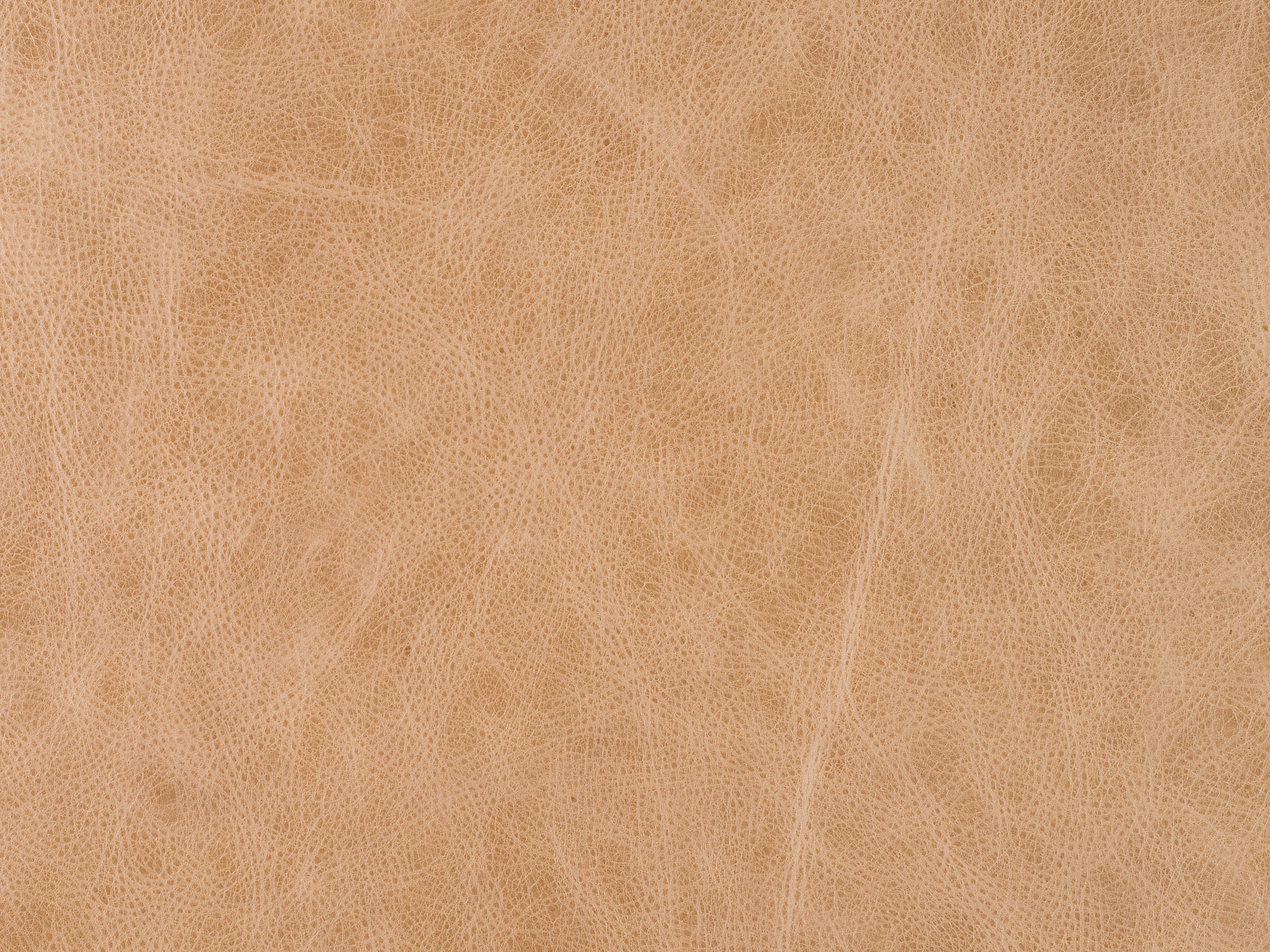 Bradington Young 924200-82 Leather Swatch Card BY-924200-82-SC