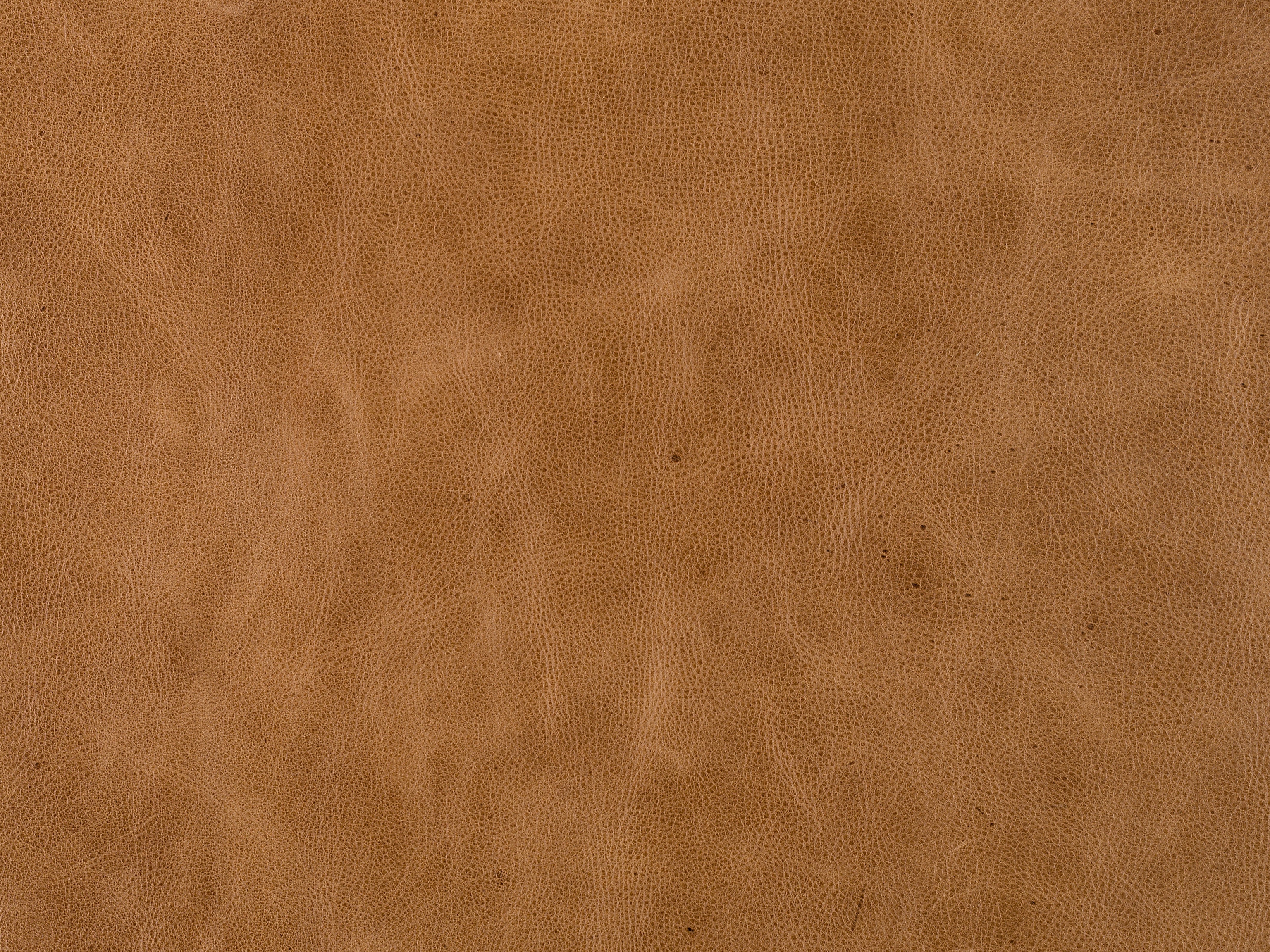 Bradington Young 924200-84 Leather Swatch Card BY-924200-84-SC