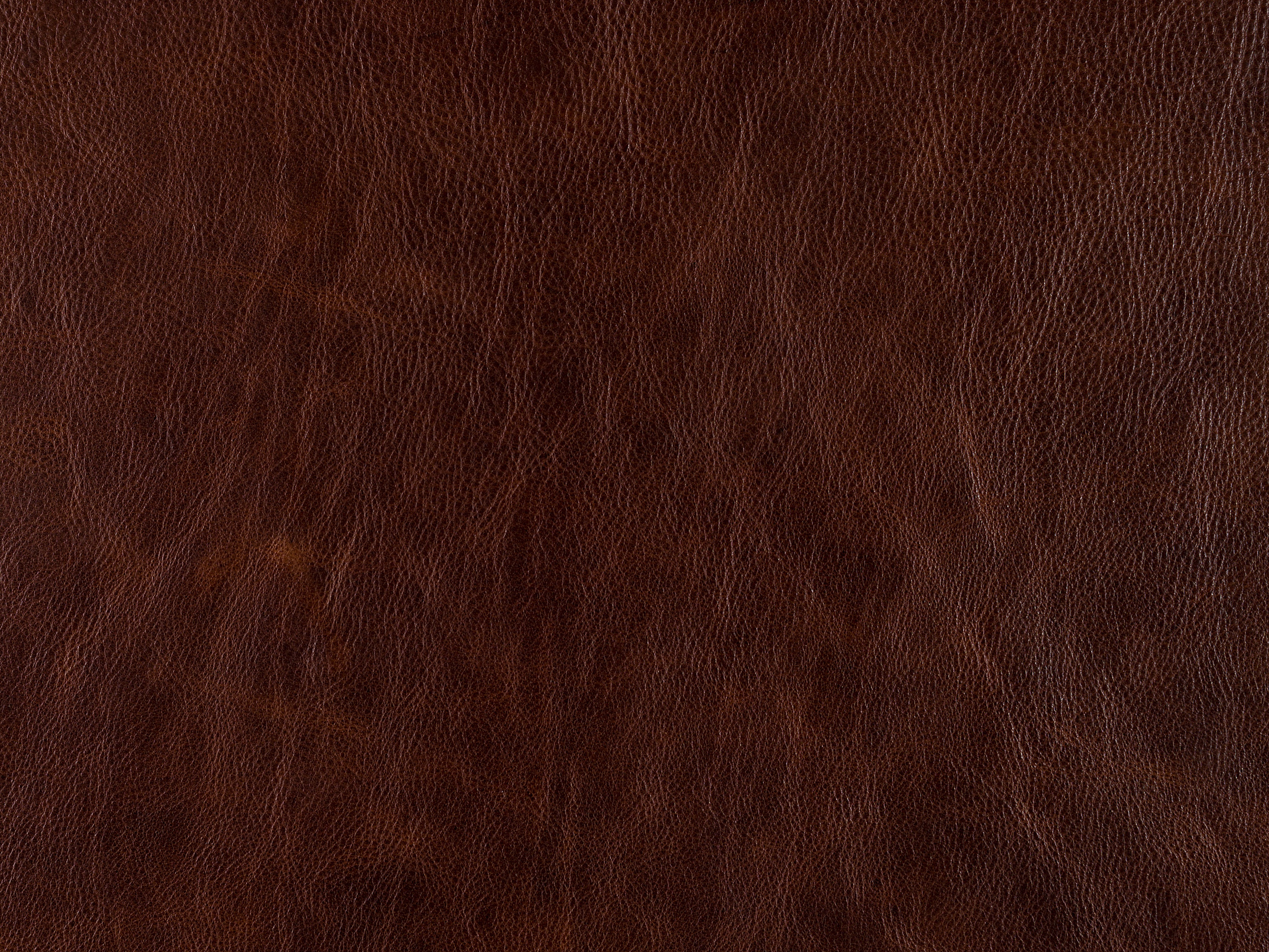 Bradington Young 924400-88 Leather Swatch Card BY-924400-88-SC