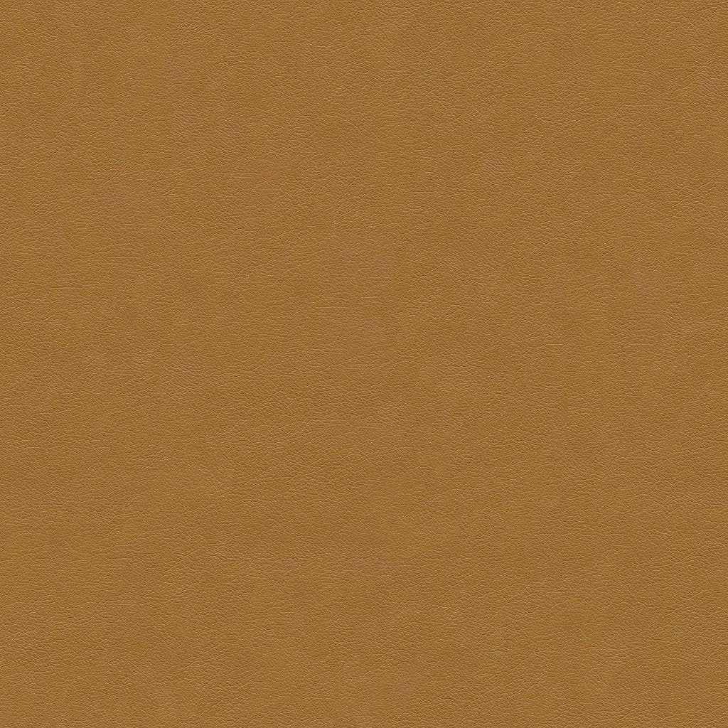 7219-2