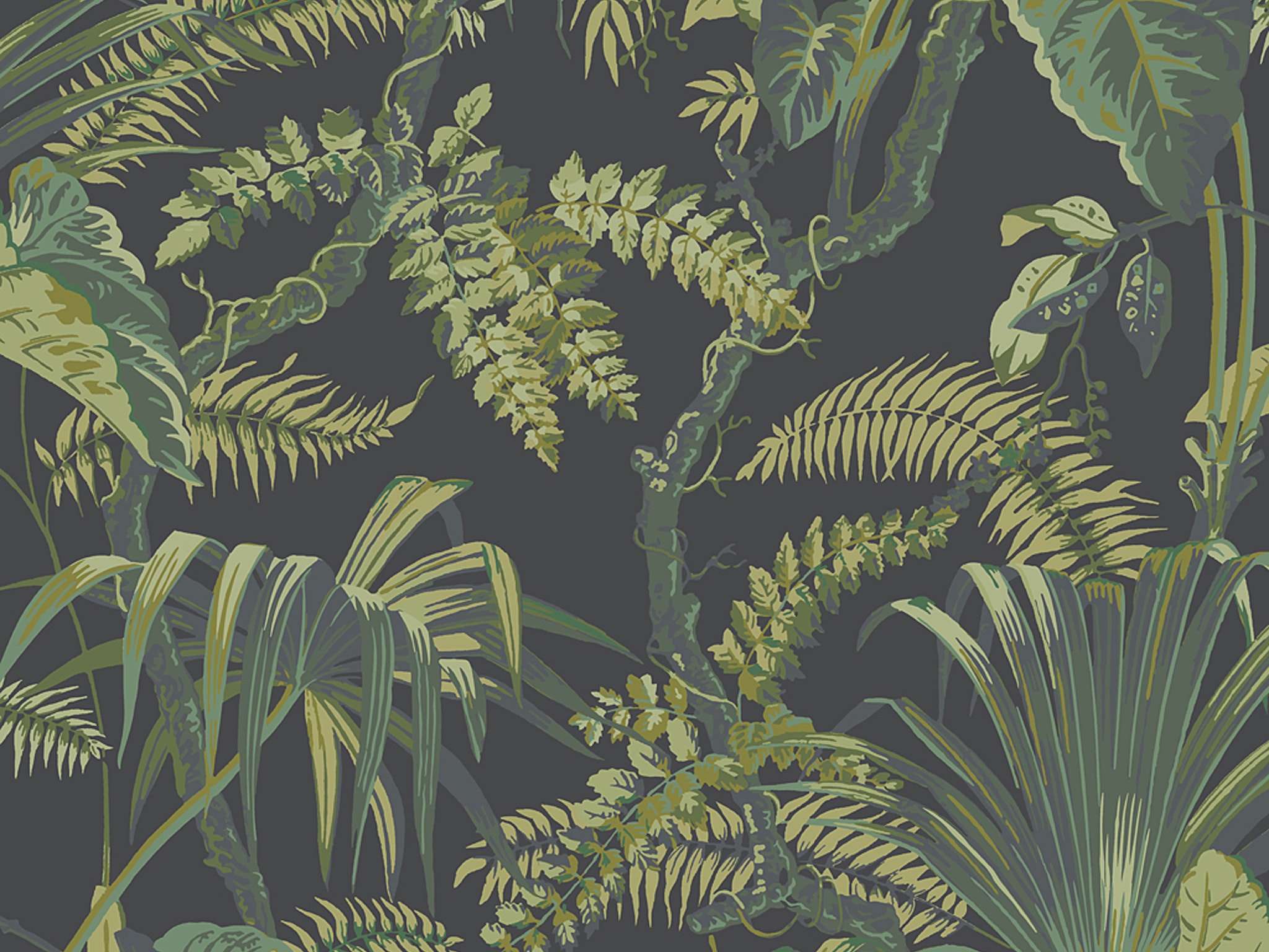 MUSTIQUE_NOIR