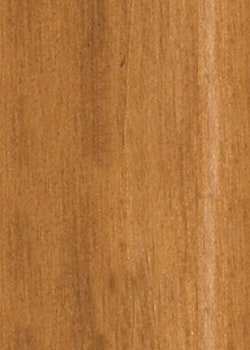 CHESTNUT