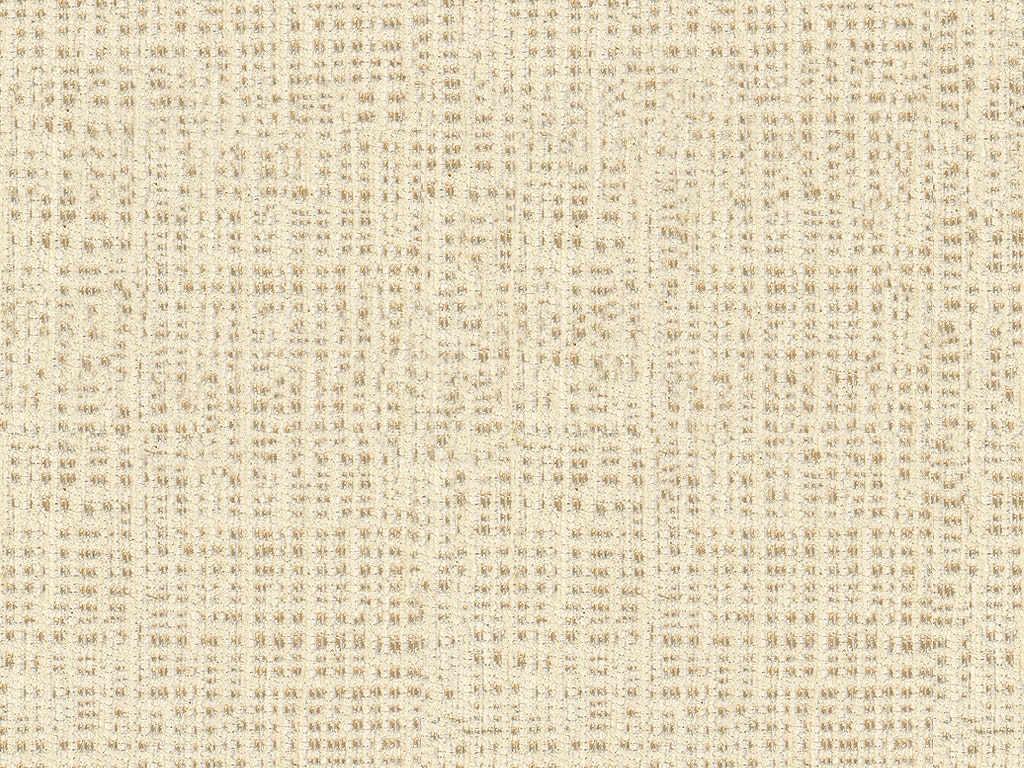10732