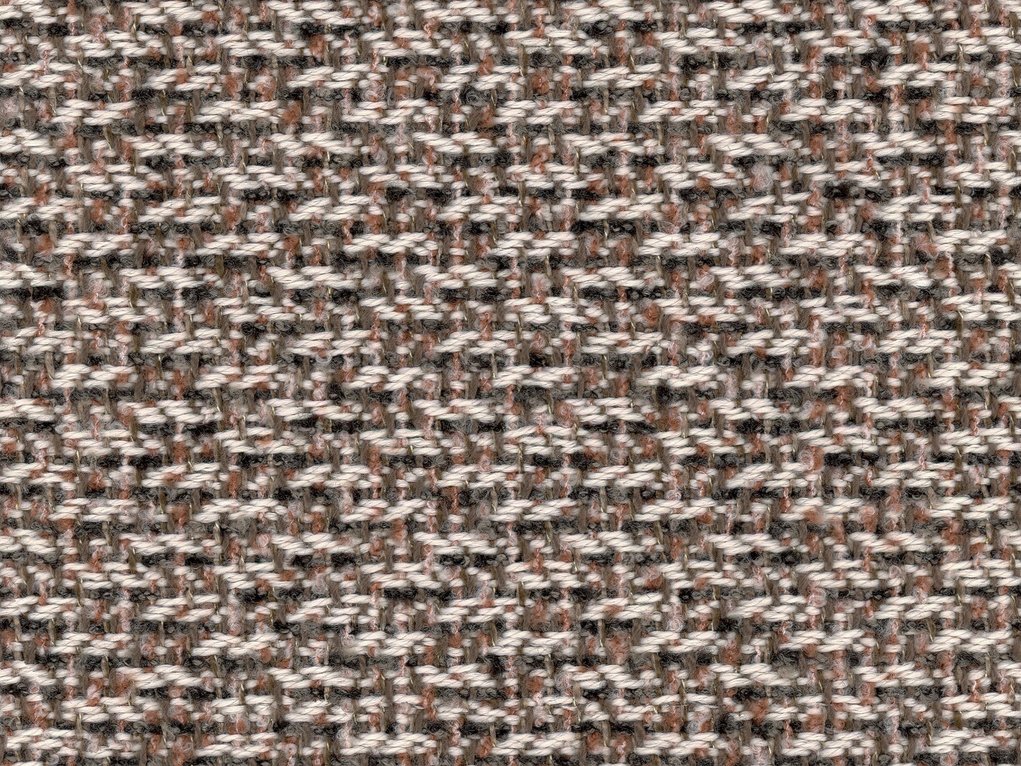 ANTHROPOLOGY GUAVA