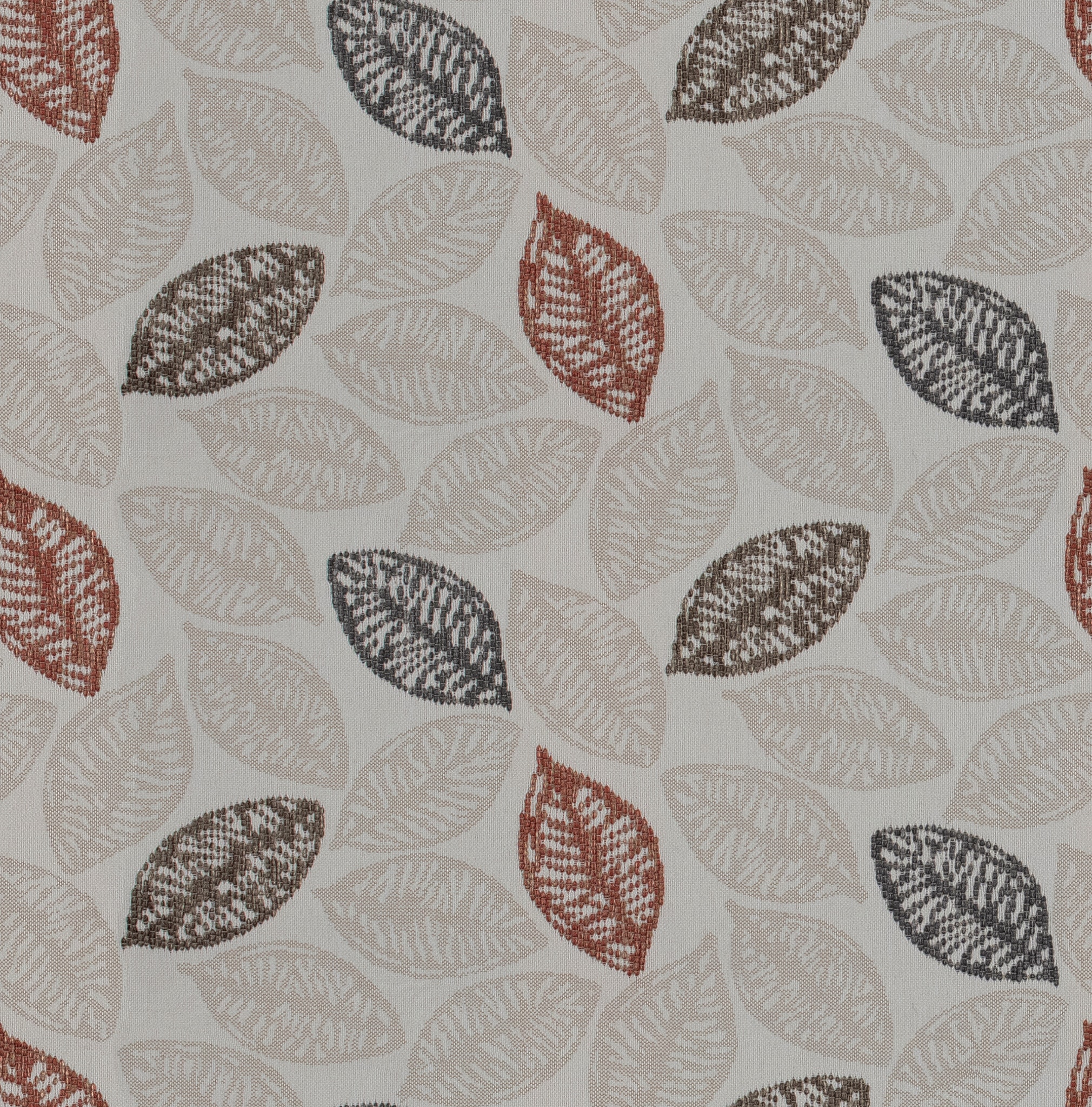 AUTUMN FIESTA