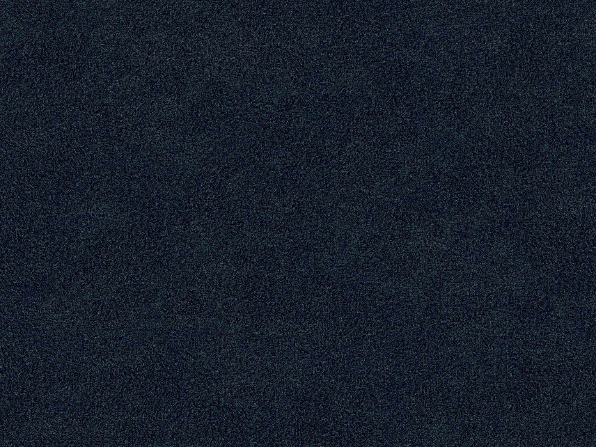BELLA NAVY