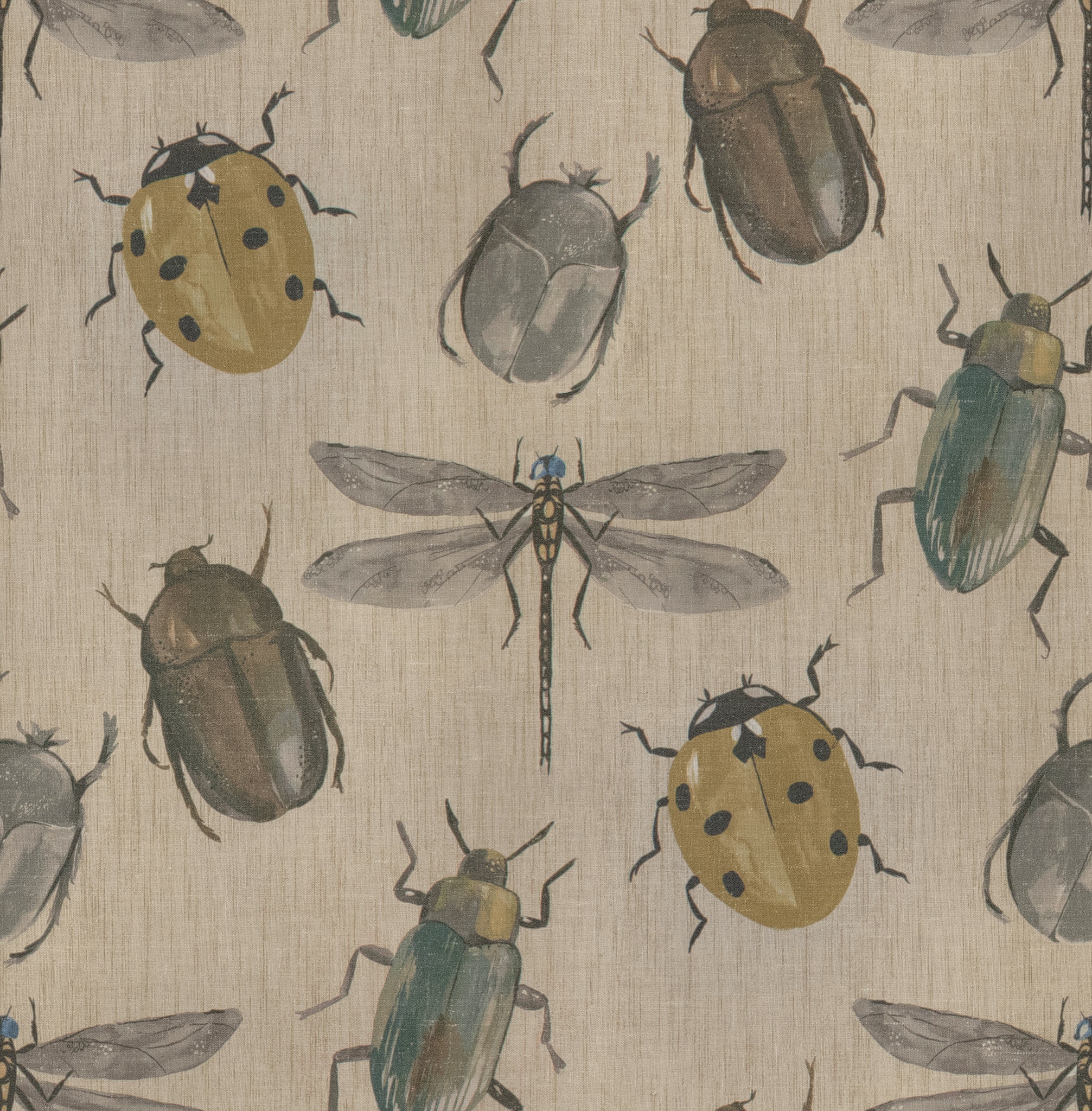 BUGS HOPPER