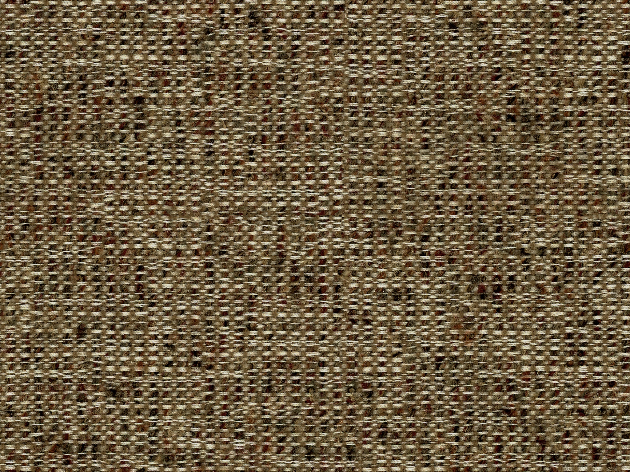 COCONUT MAPLE