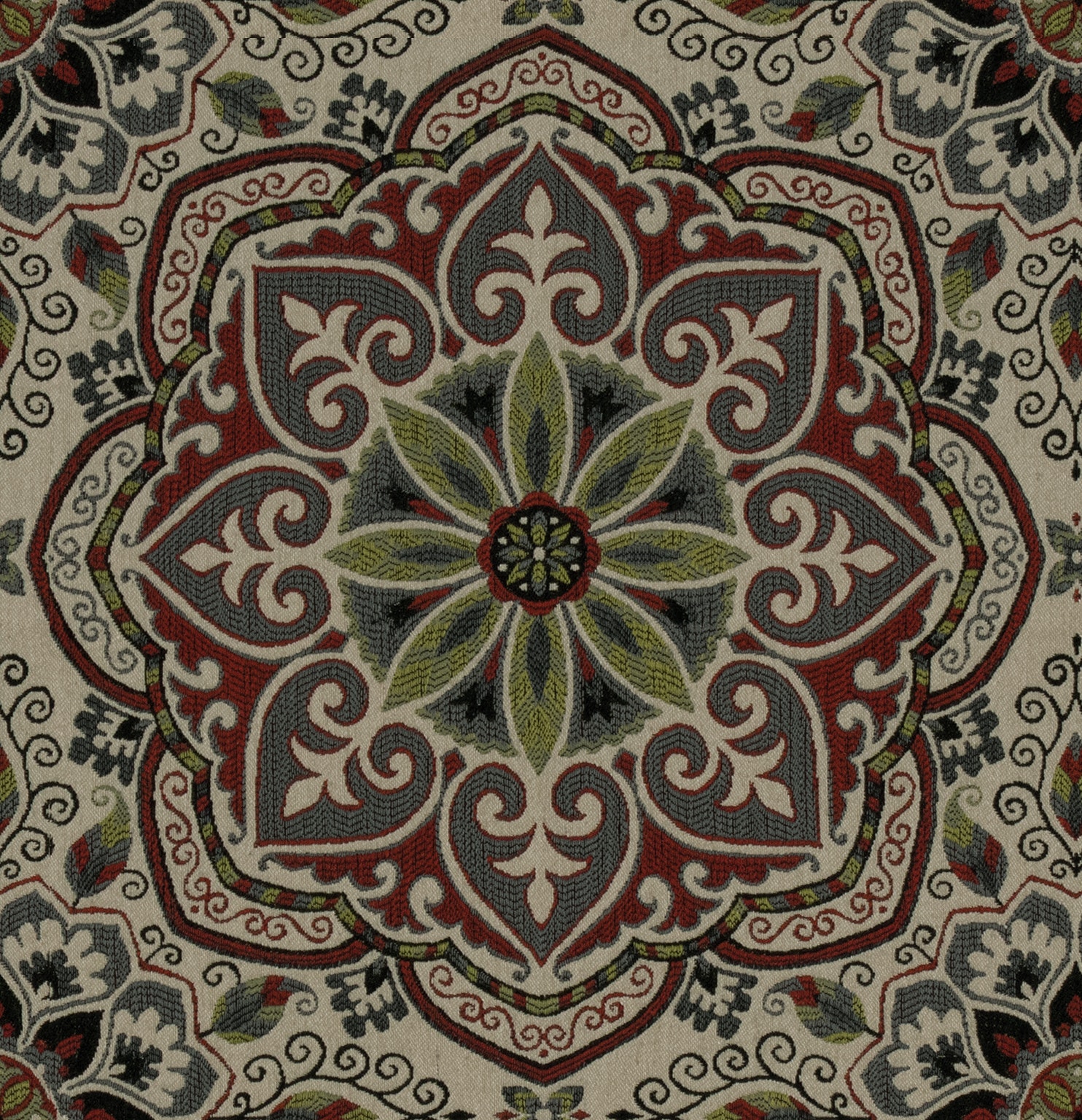 GYPSY POPPY
