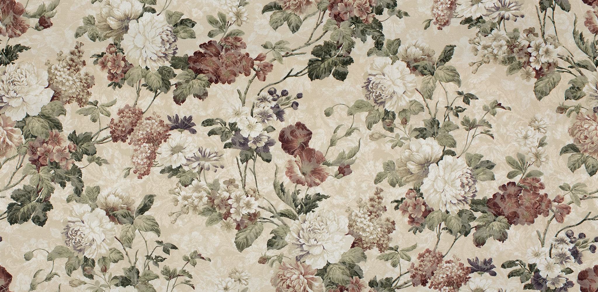 MAXIMA PLUM