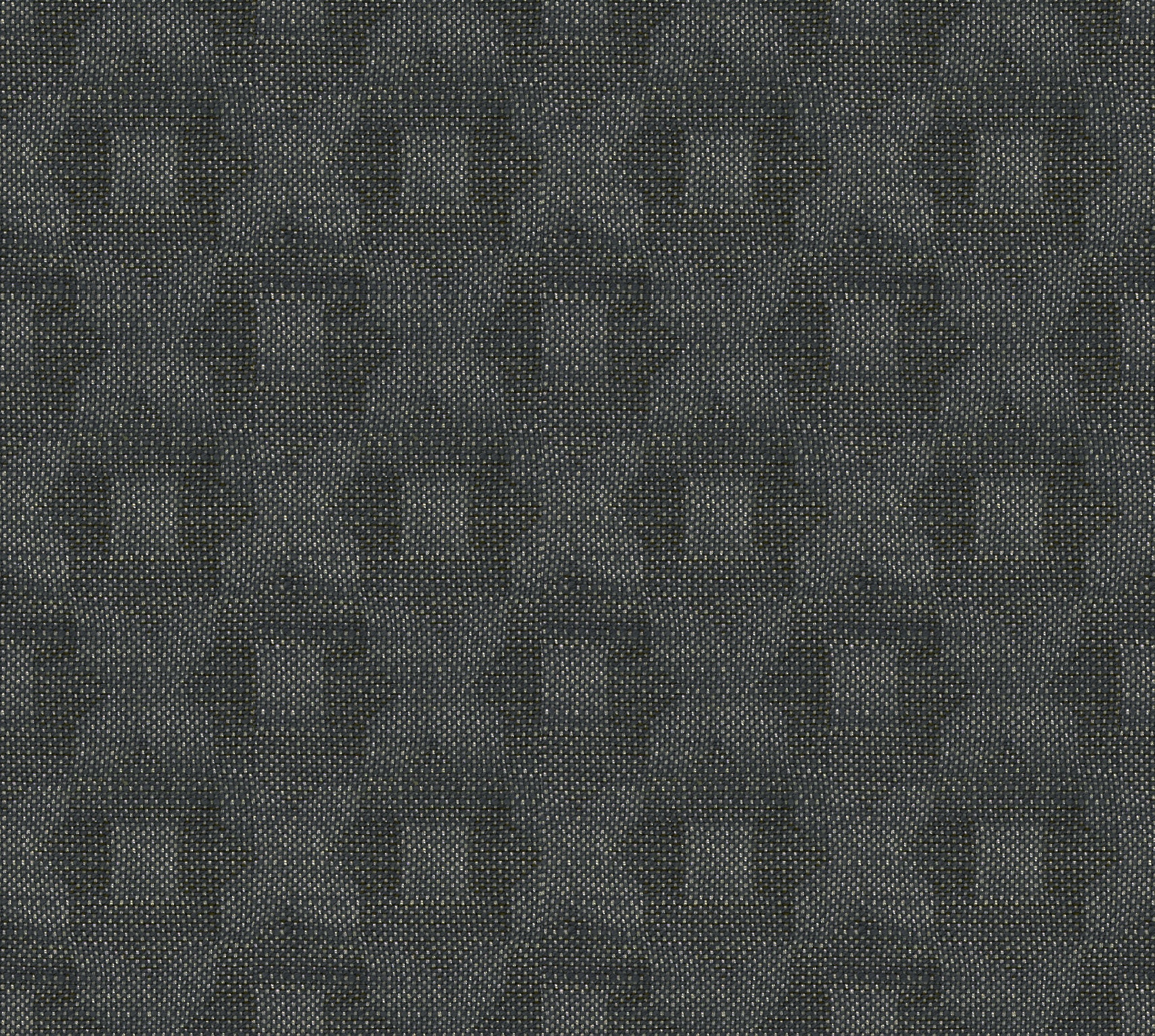 RENLEY DENIM
