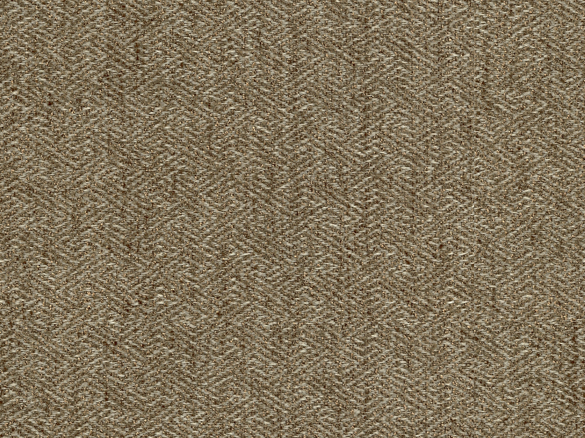 SHAKER FLAX
