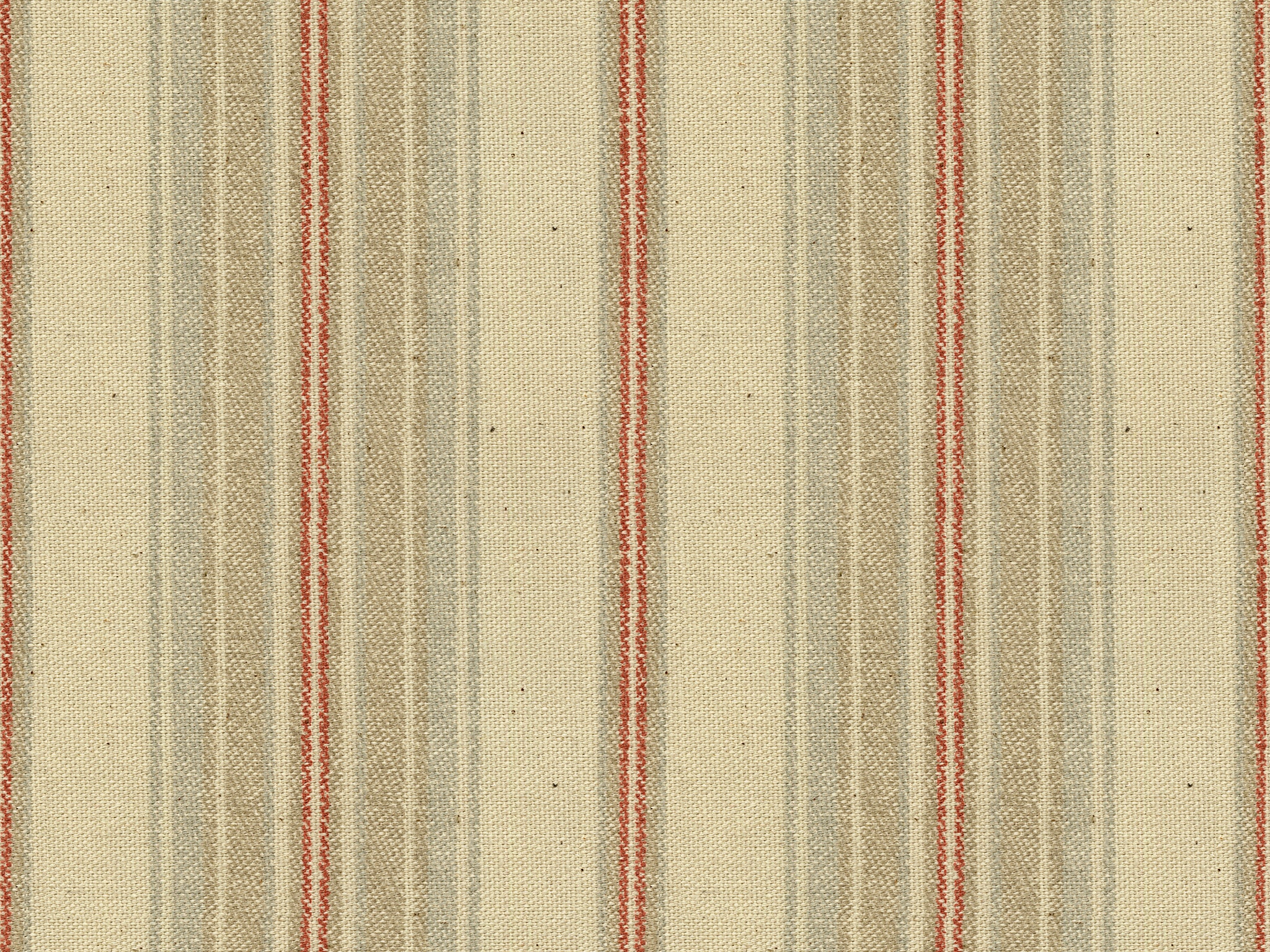 WALEVIEW CORAL