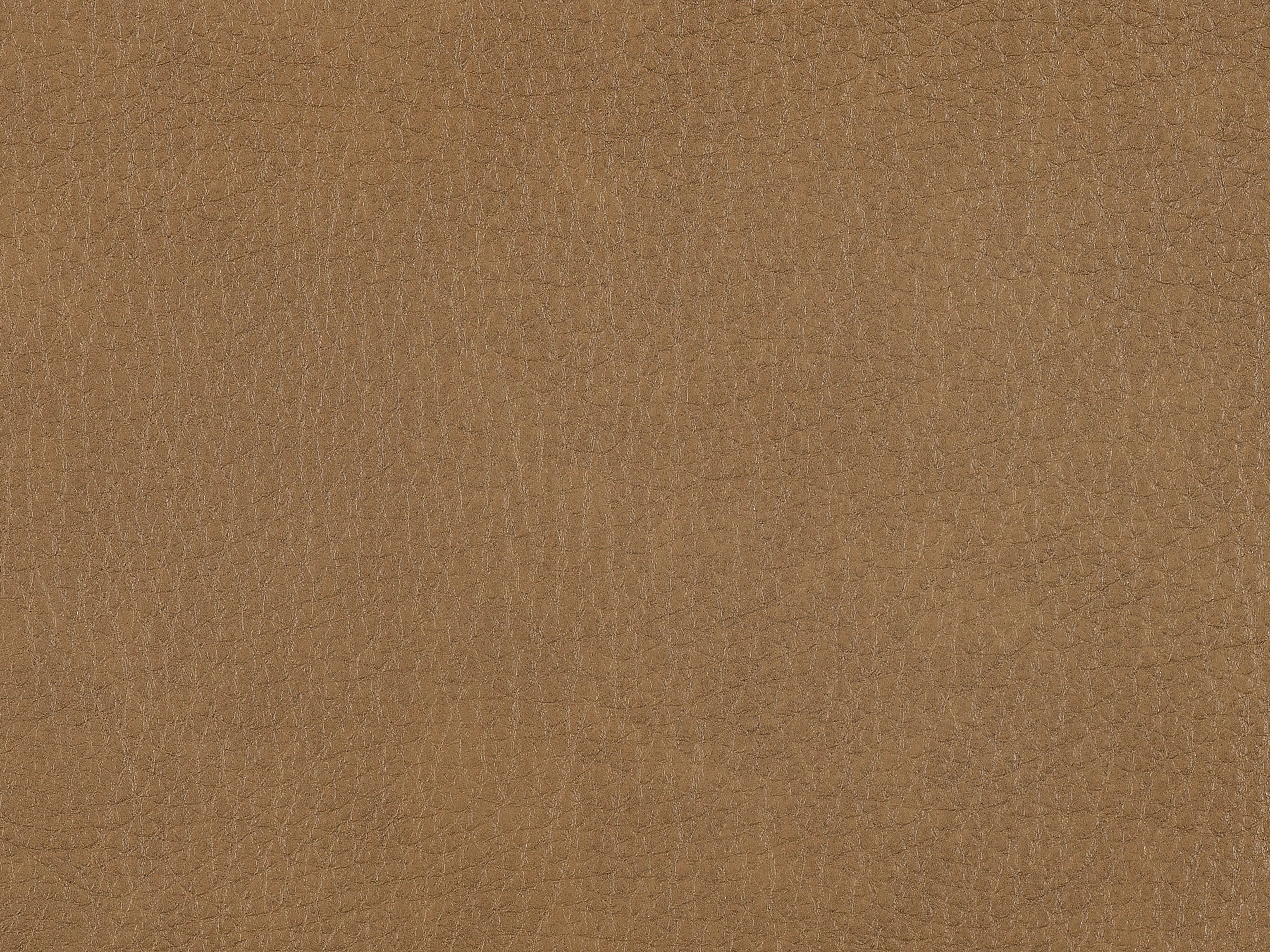 fghjfgjh Aline Toast Leather Swatch Card HF-ALINE-TOAST-SC