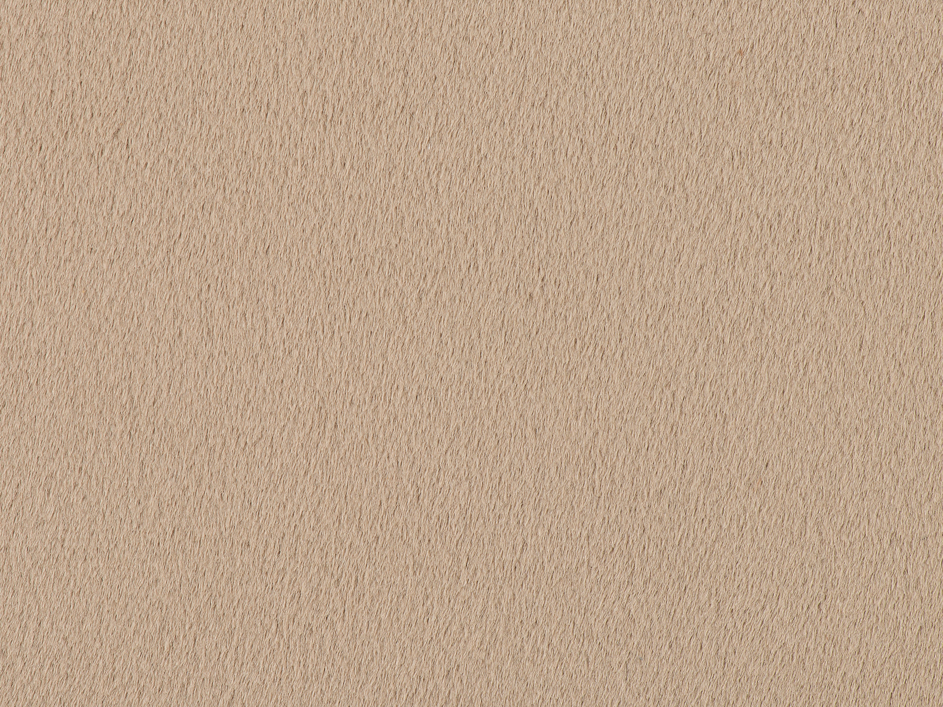 fghjfgjh Encore Ecru Swatch Card HF-ENCORE-ECRU-SC