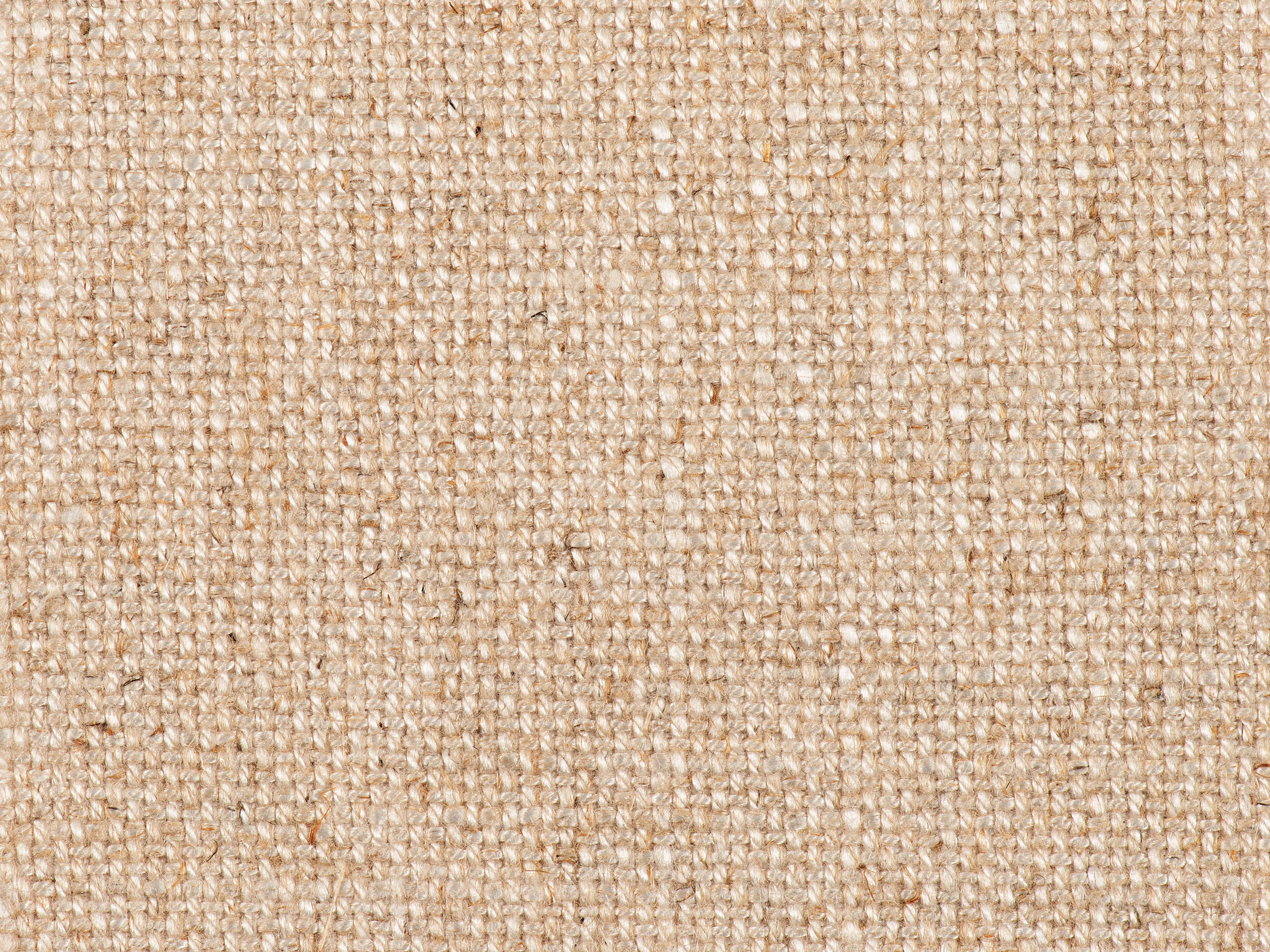 fghjfgjh 6700 Evere Cream Swatch Card HF-EVERE-CREAM-SC