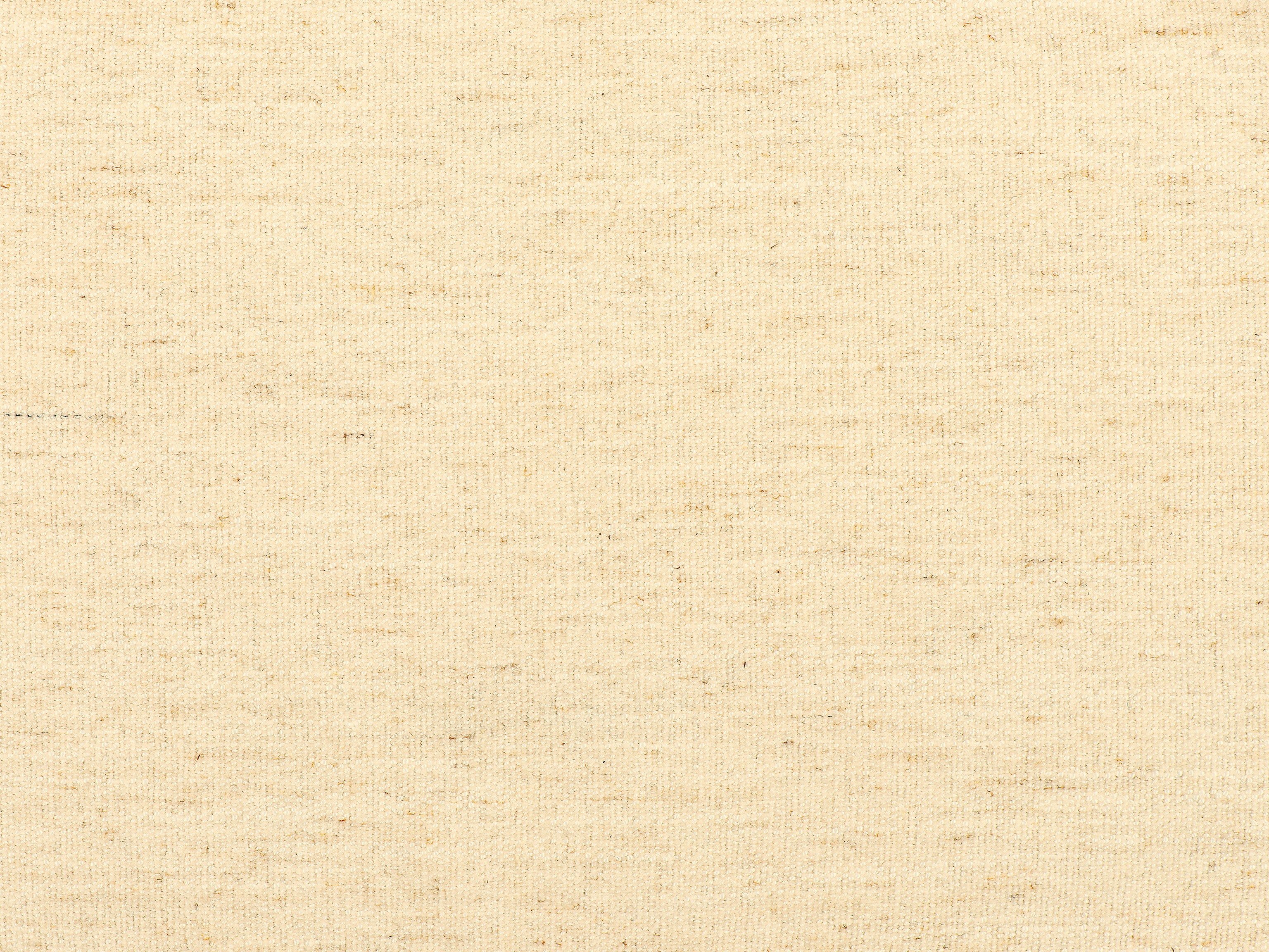 fghjfgjh Levi Oyster Swatch Card HF-LEVI-OYSTER-SC